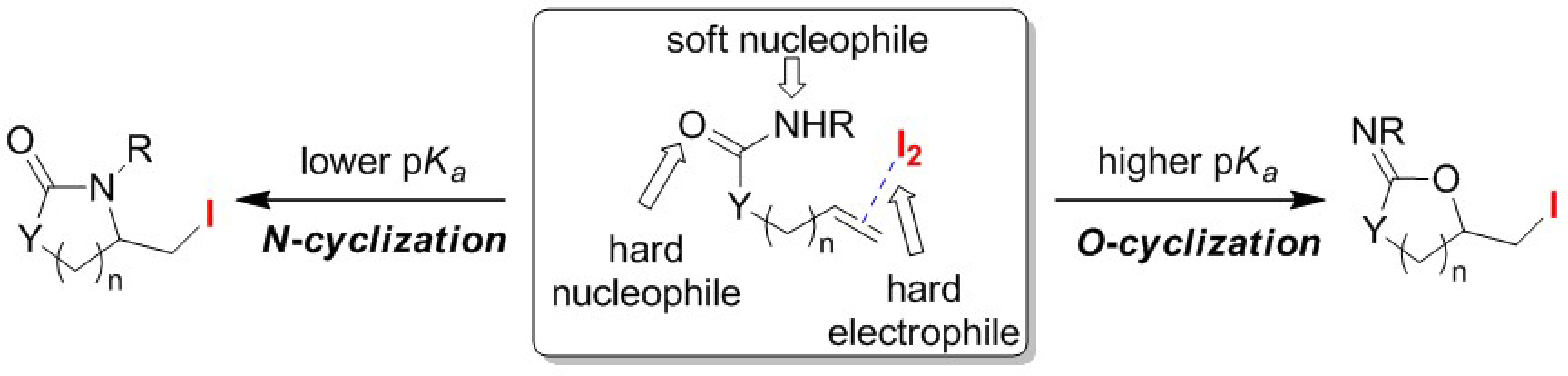 Molecules 25 06007 g010 Molecules 25 06007 g010