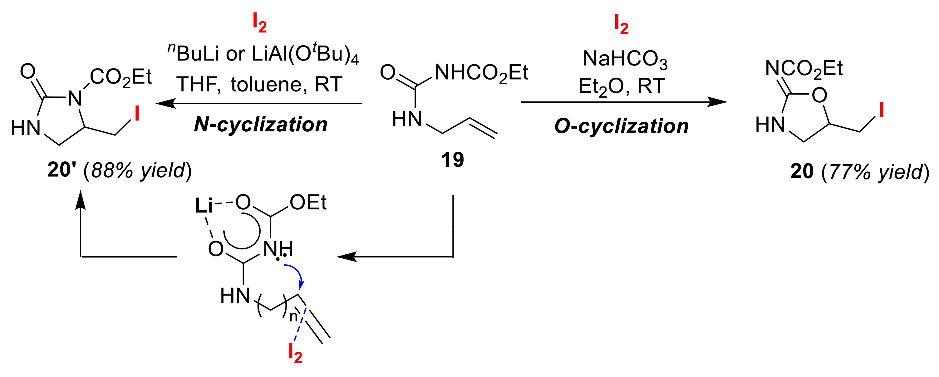 Molecules 25 06007 g011 Molecules 25 06007 g011
