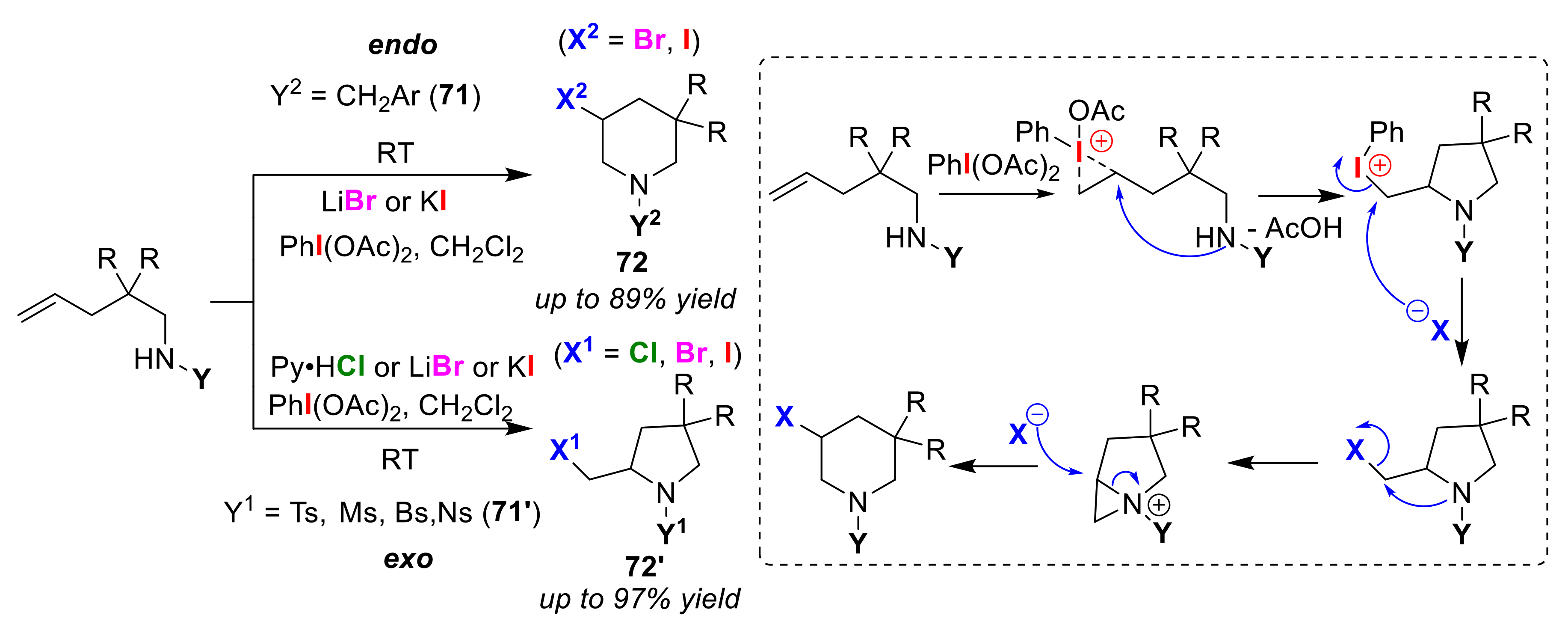 Molecules 25 06007 g034 Molecules 25 06007 g034