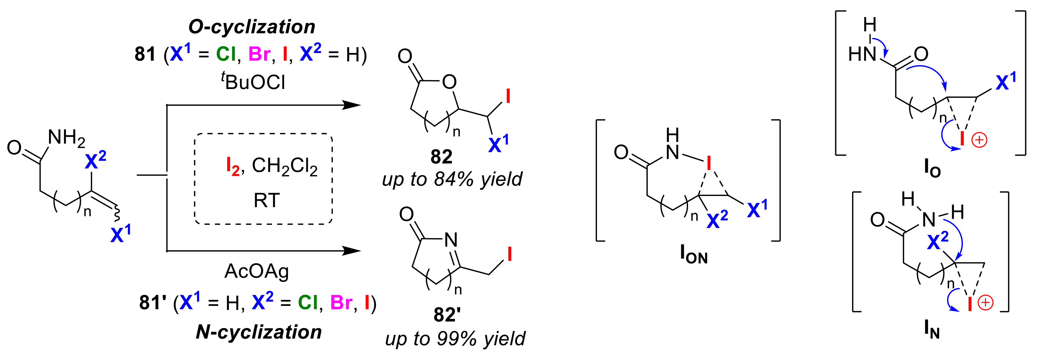 Molecules 25 06007 g039 Molecules 25 06007 g039