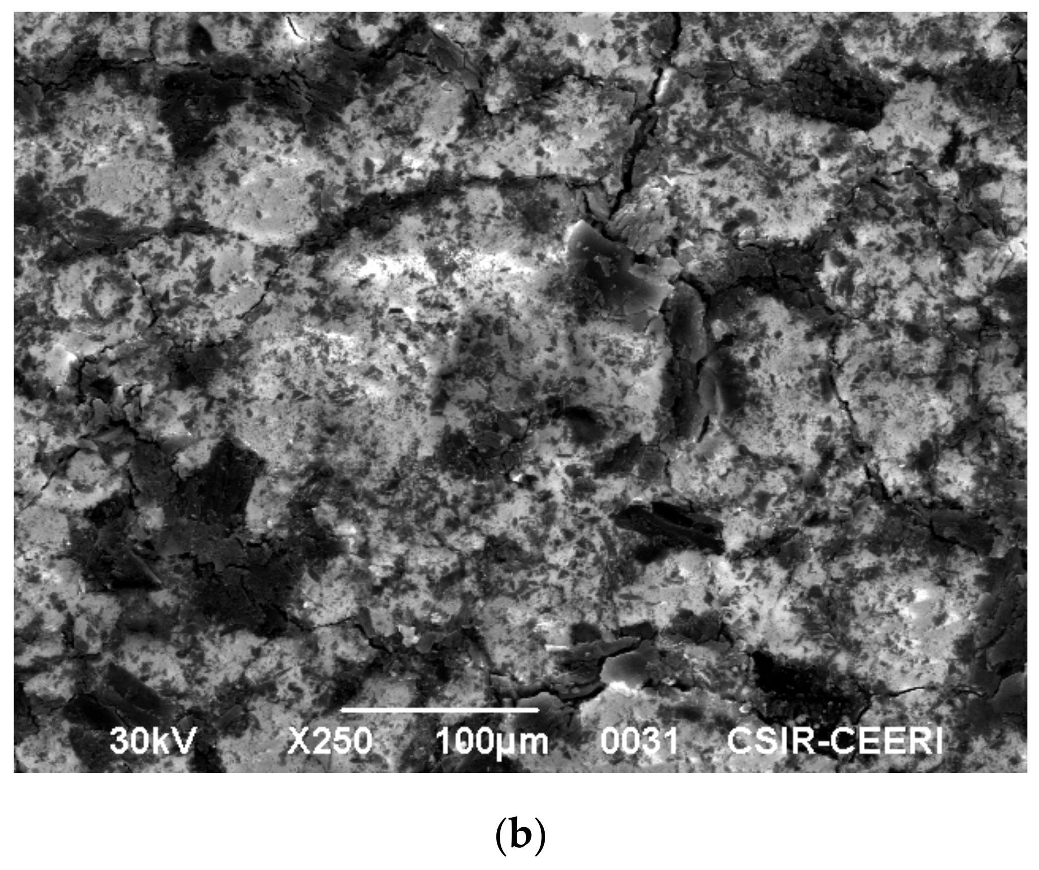 Molecules 25 06014 g011b Molecules 25 06014 g011b