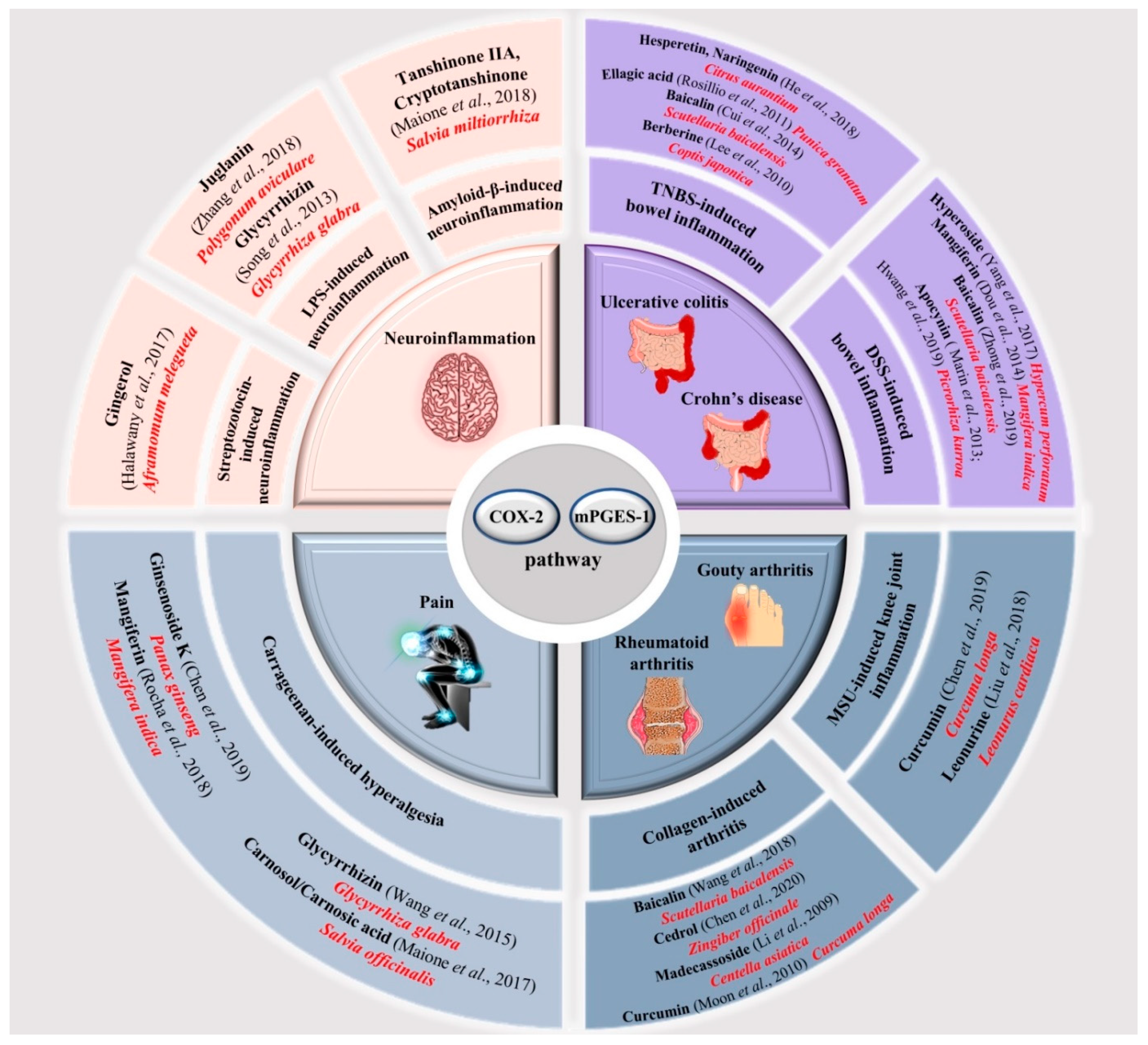 Molecules 25 06016 g001