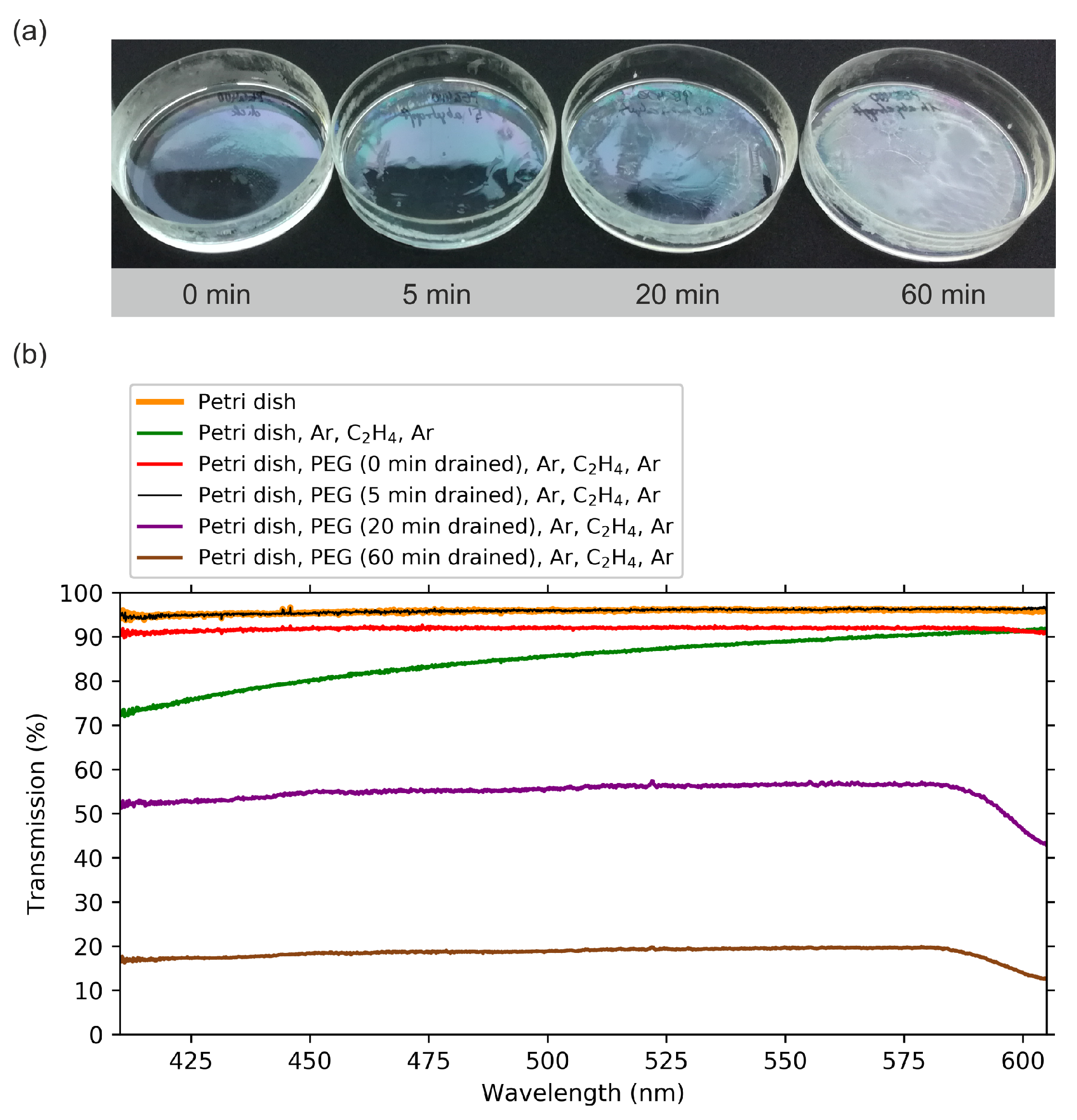 Molecules 25 06024 g004 Molecules 25 06024 g004