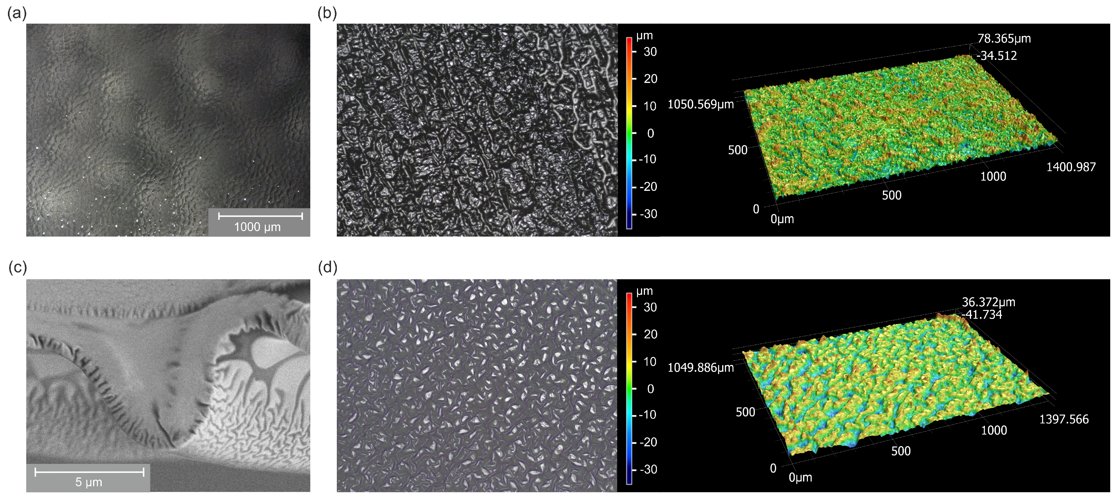Molecules 25 06024 g005 Molecules 25 06024 g005