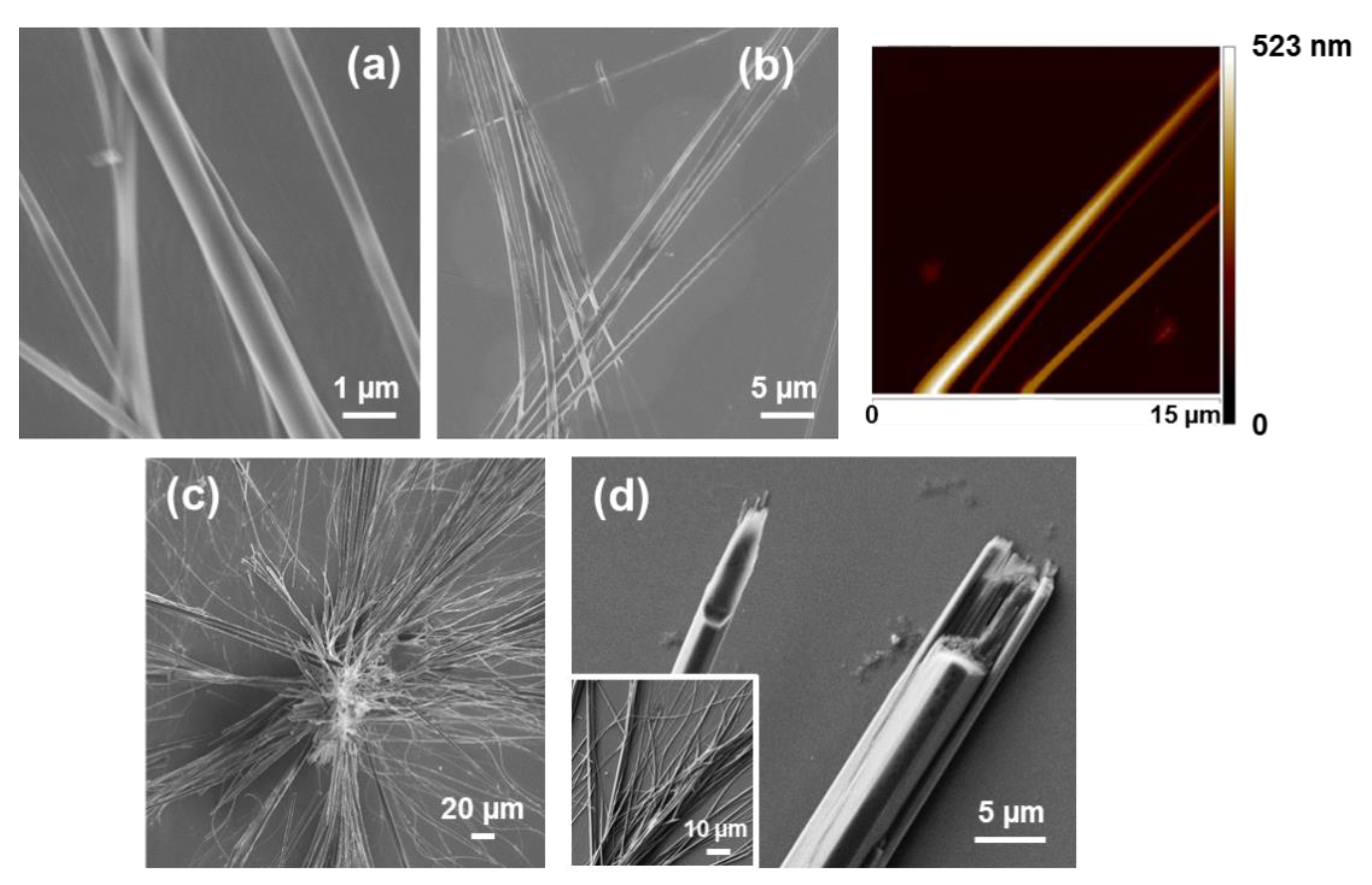Molecules 25 06037 g002