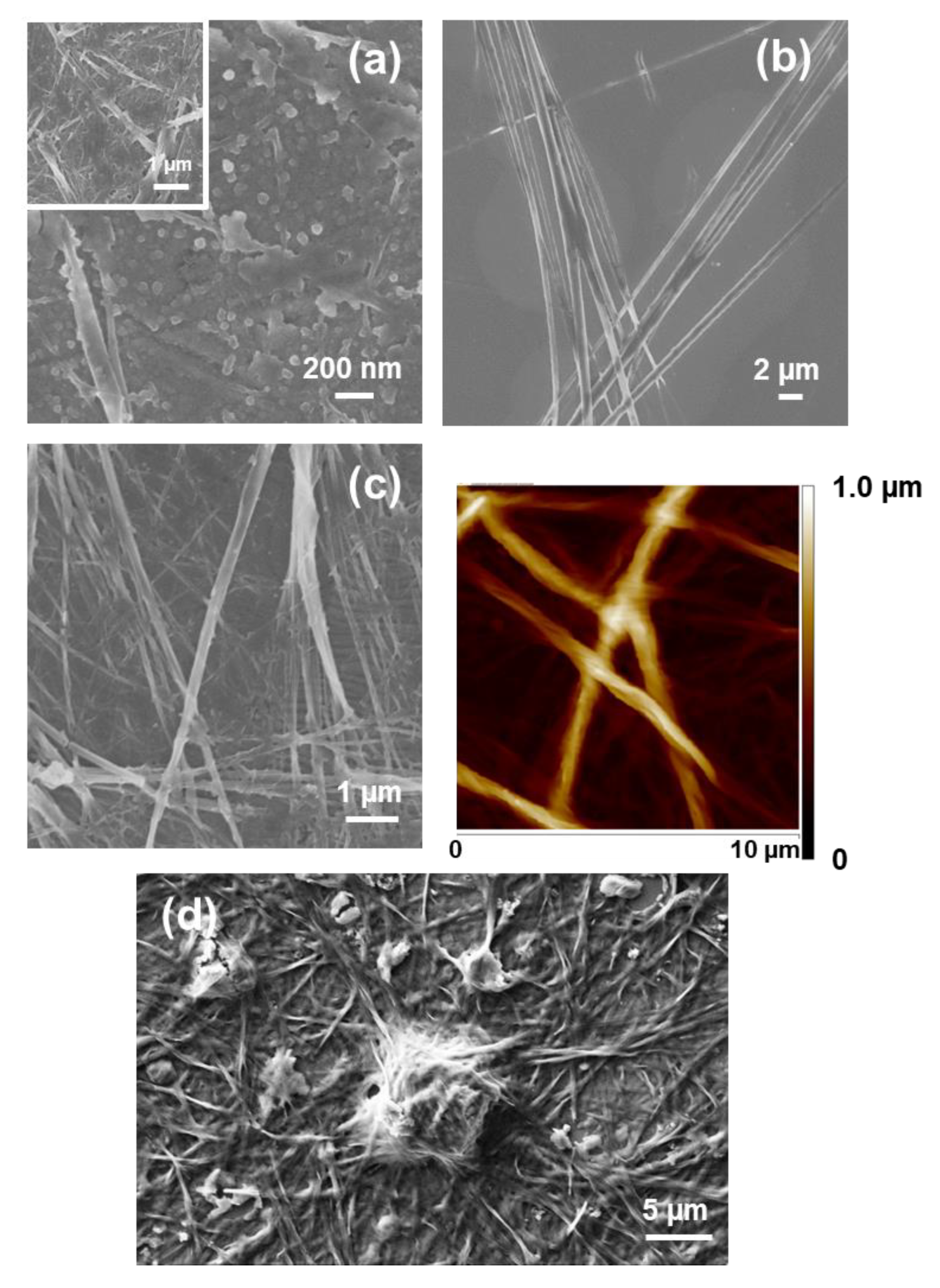 Molecules 25 06037 g003