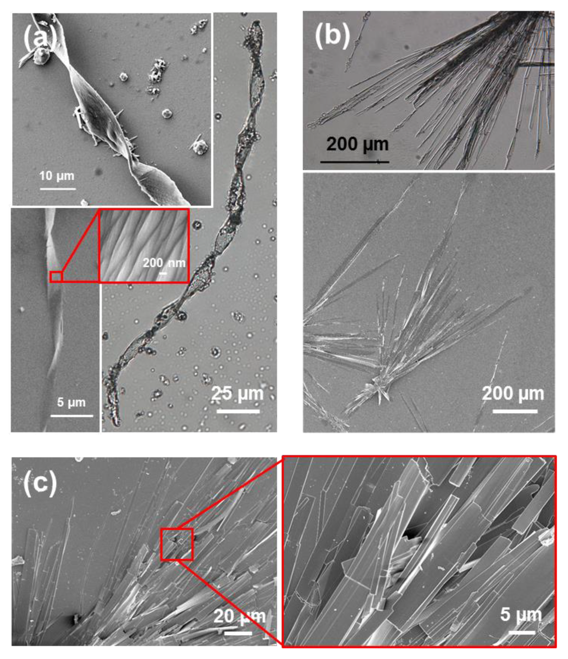 Molecules 25 06037 g005