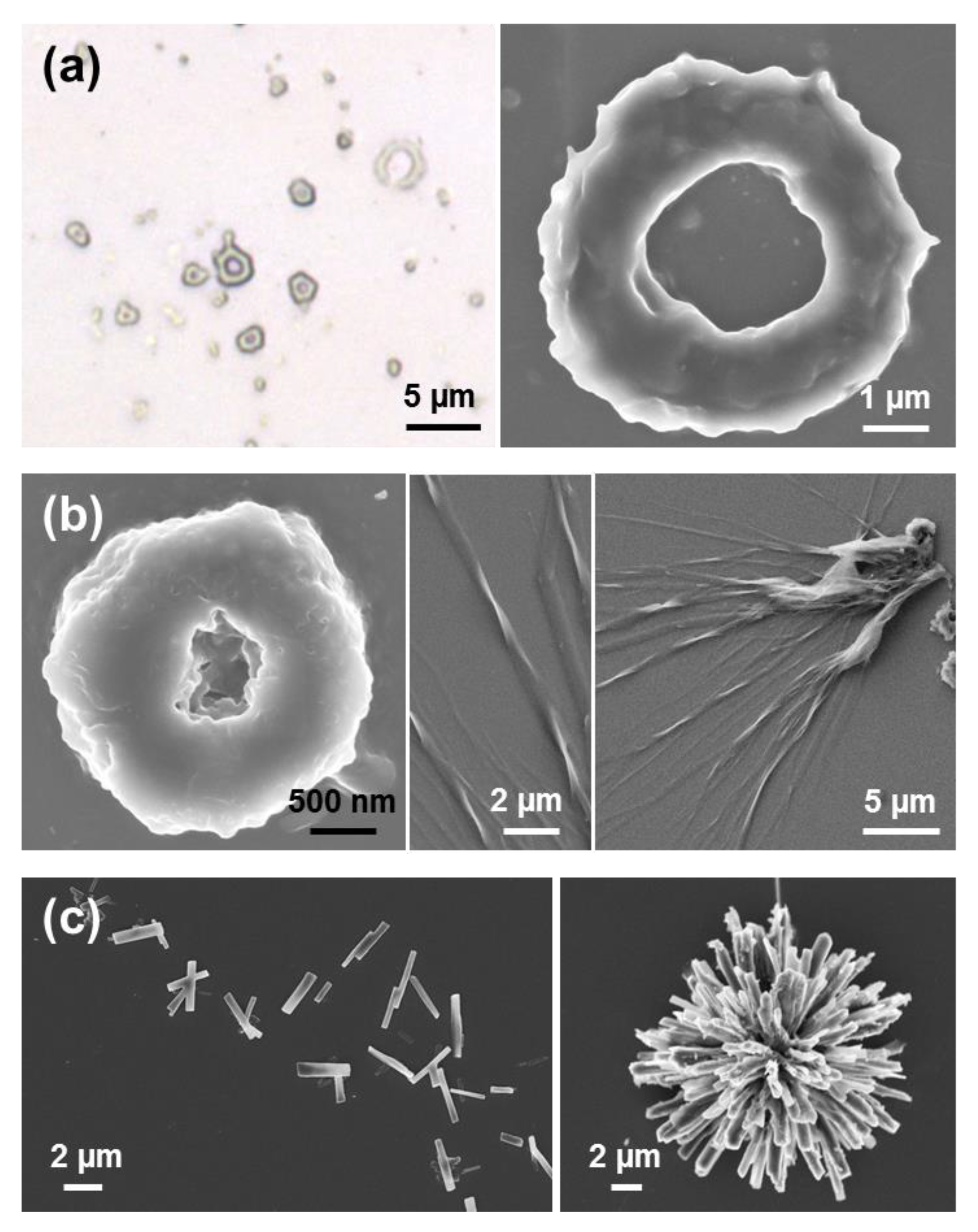 Molecules 25 06037 g006