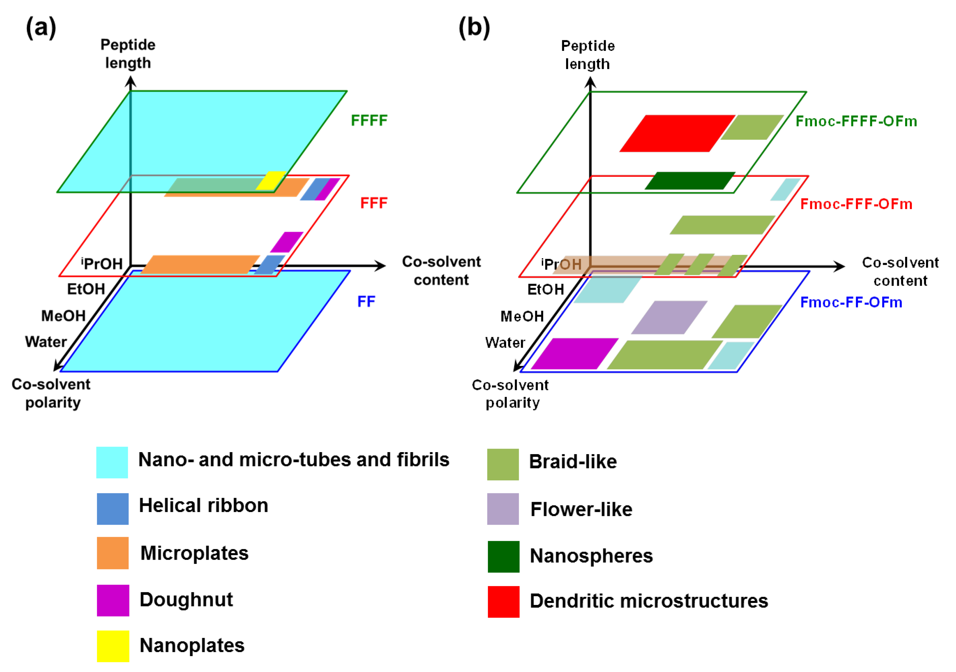 Molecules 25 06037 g007
