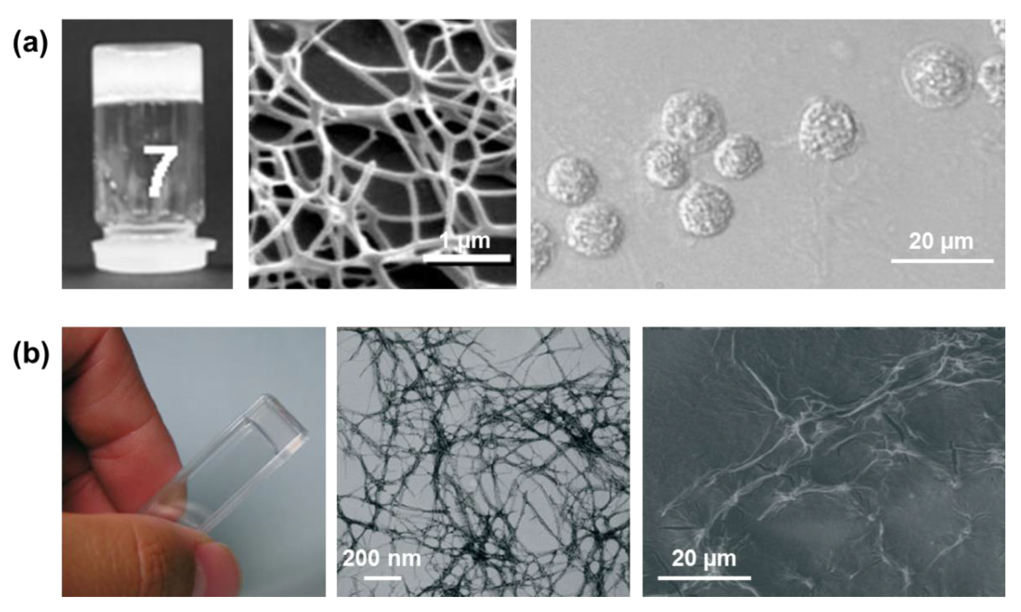 Molecules 25 06037 g008