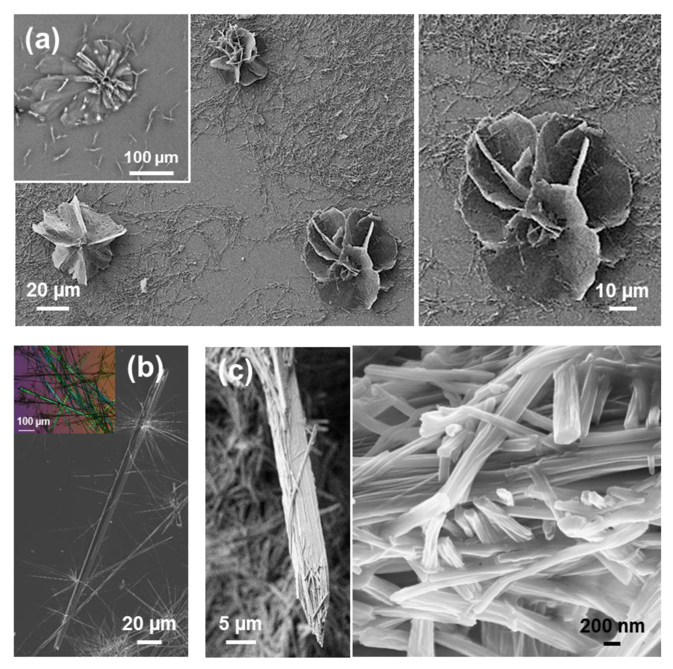 Molecules 25 06037 g014