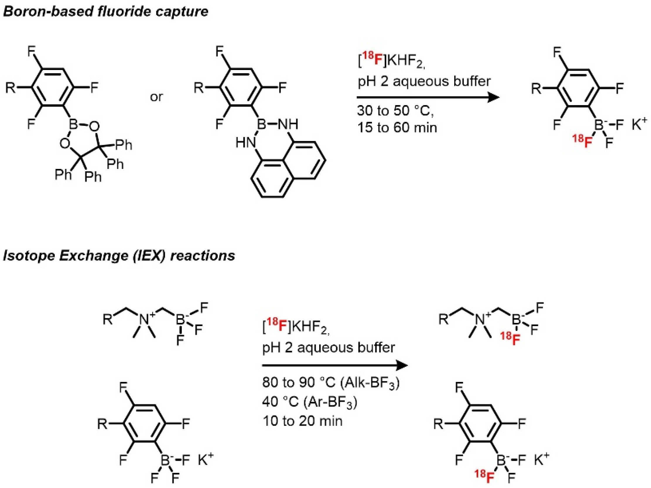 Molecules 25 06042 sch002