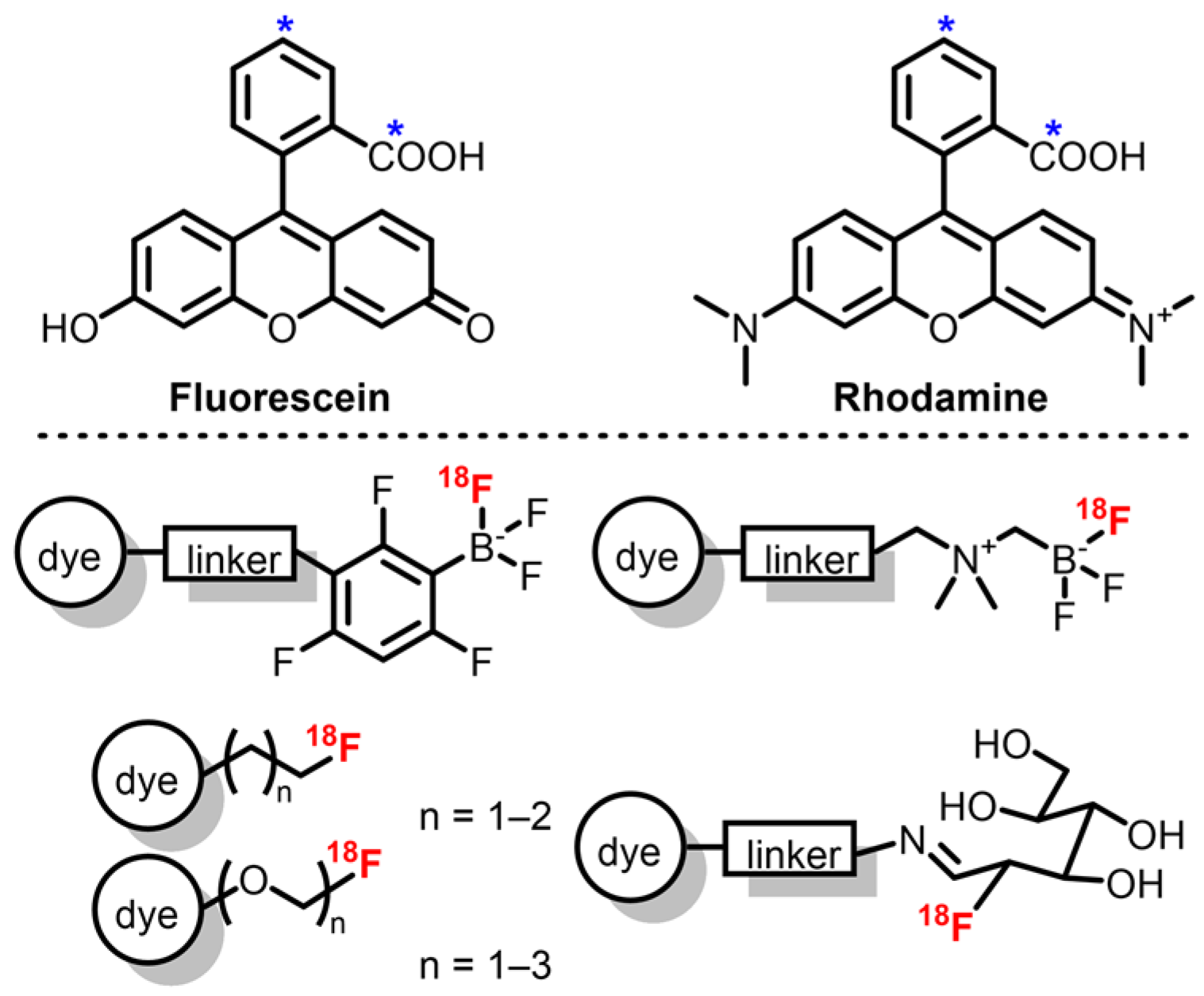 Molecules 25 06042 sch003