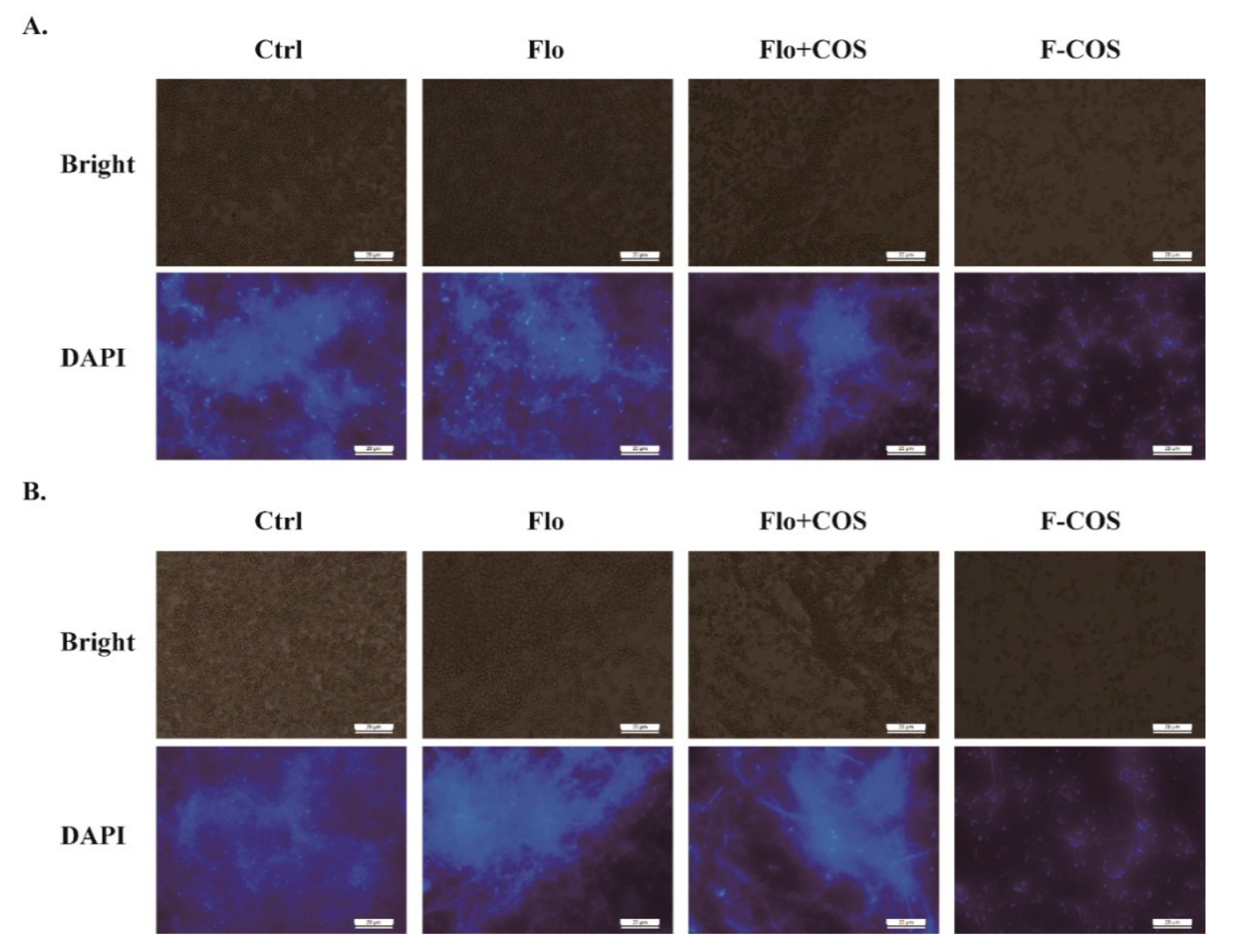 Molecules 25 06043 g005