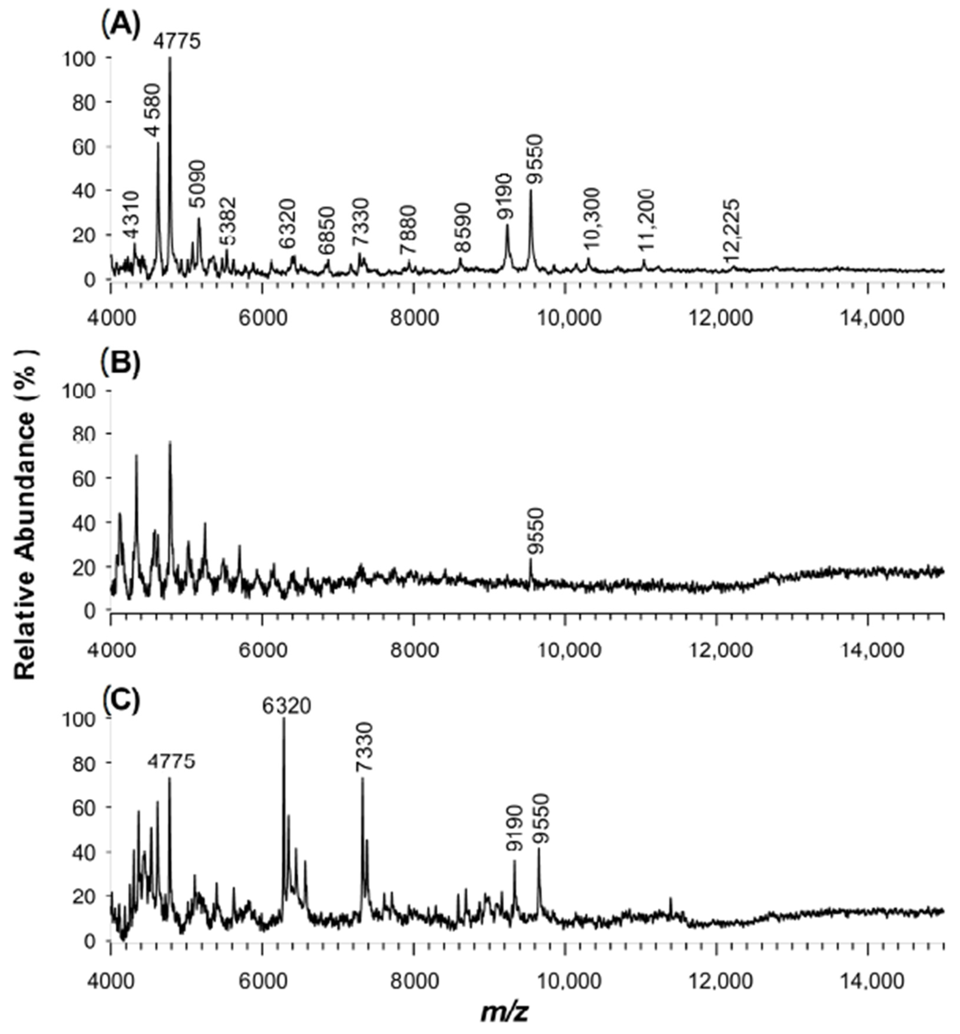 Molecules 25 06054 g007 Molecules 25 06054 g007