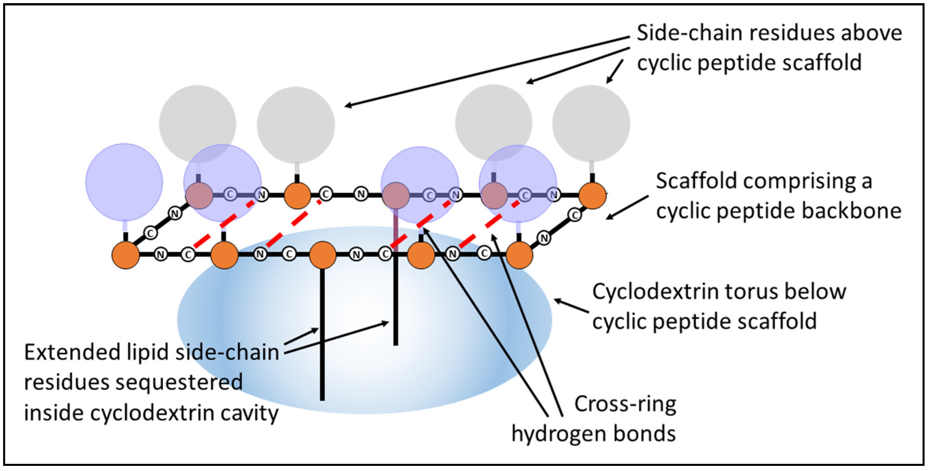 Molecules 25 06055 g001