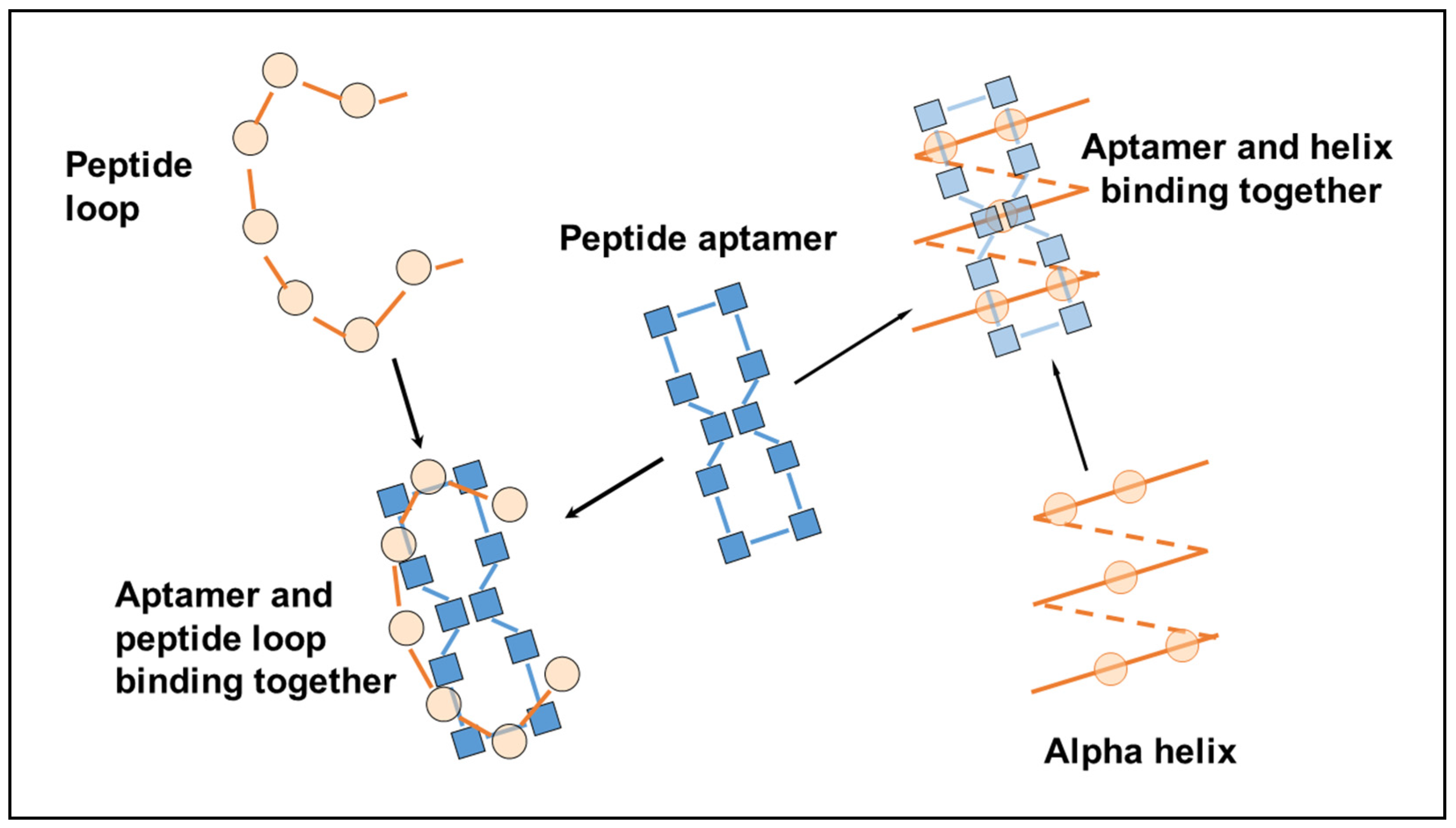 Molecules 25 06055 g003