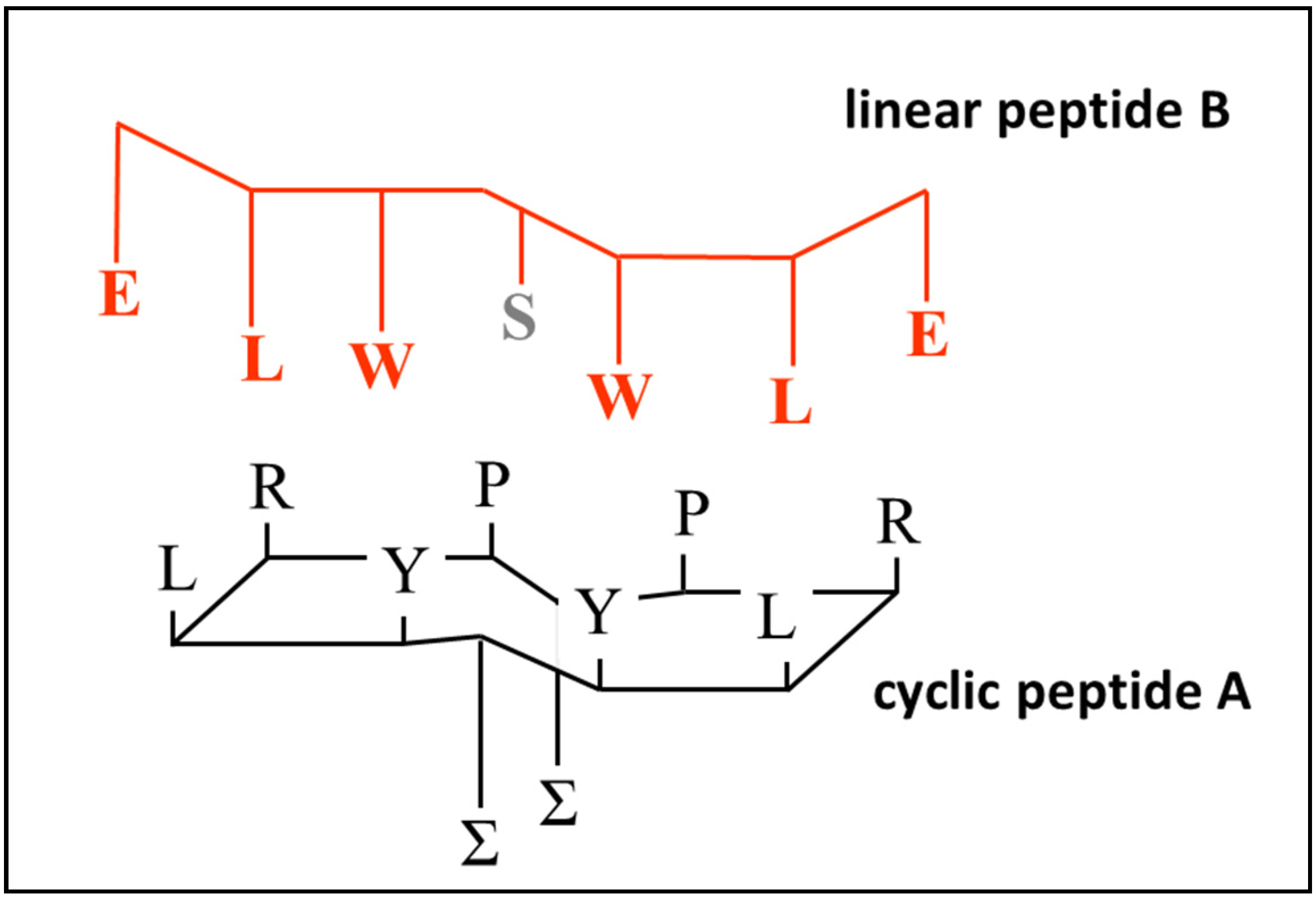 Molecules 25 06055 g004