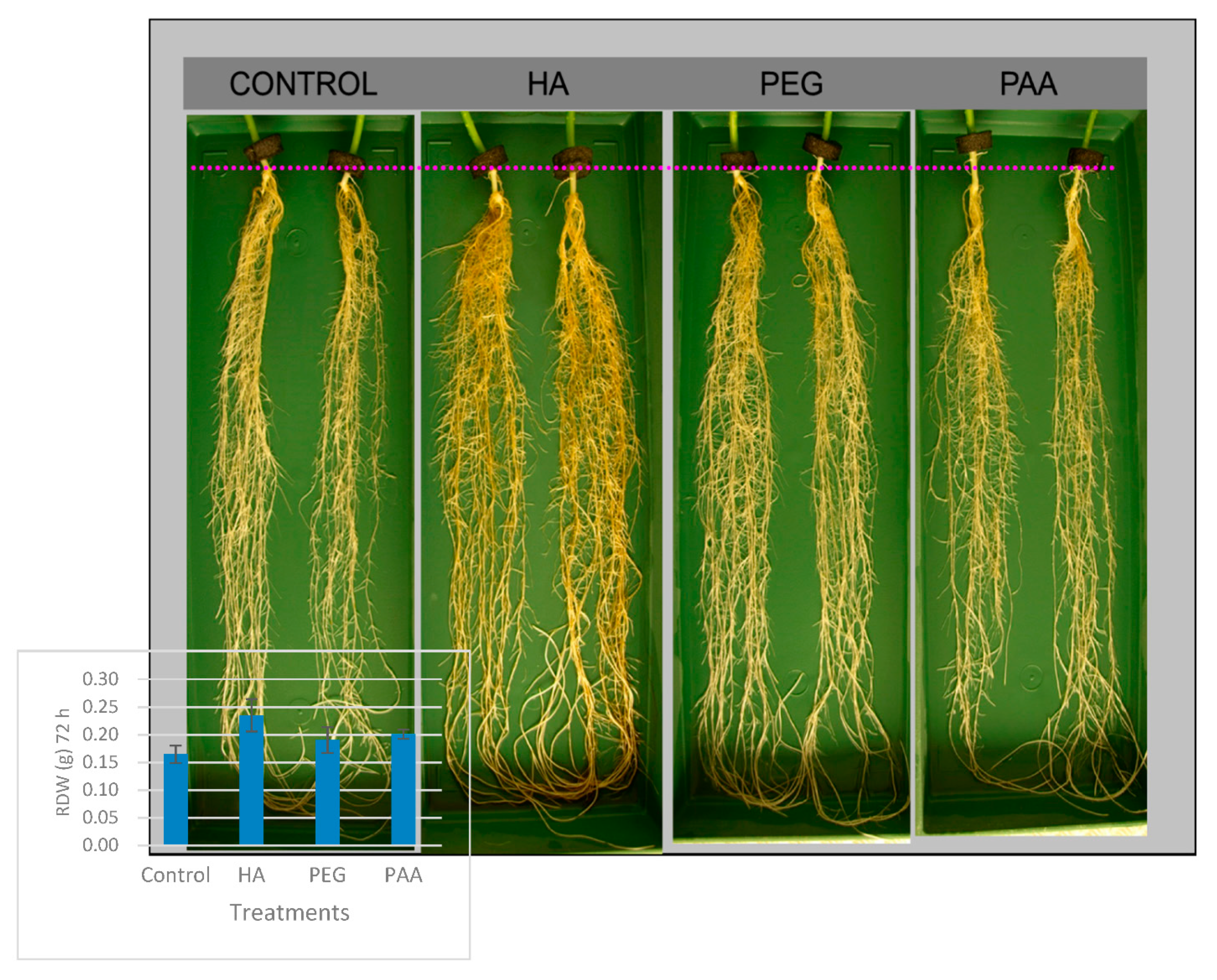 Molecules 26 00003 g003