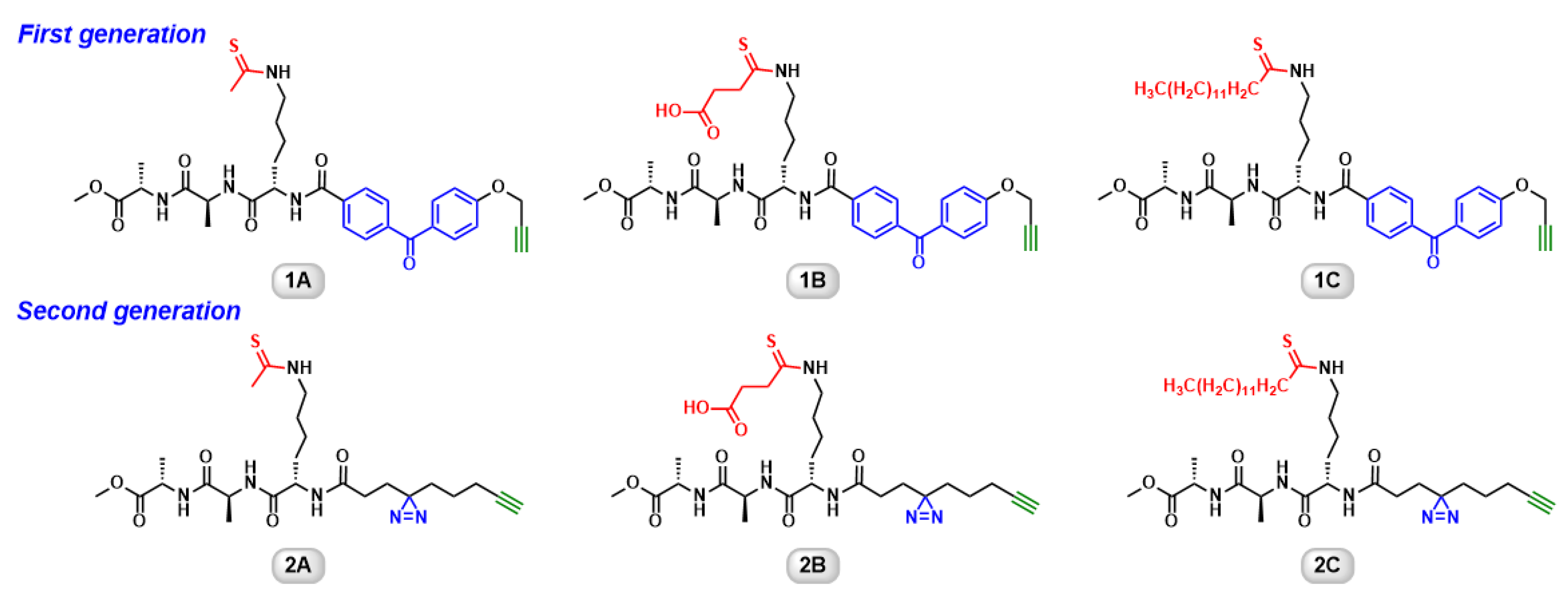 Molecules 26 00011 g001