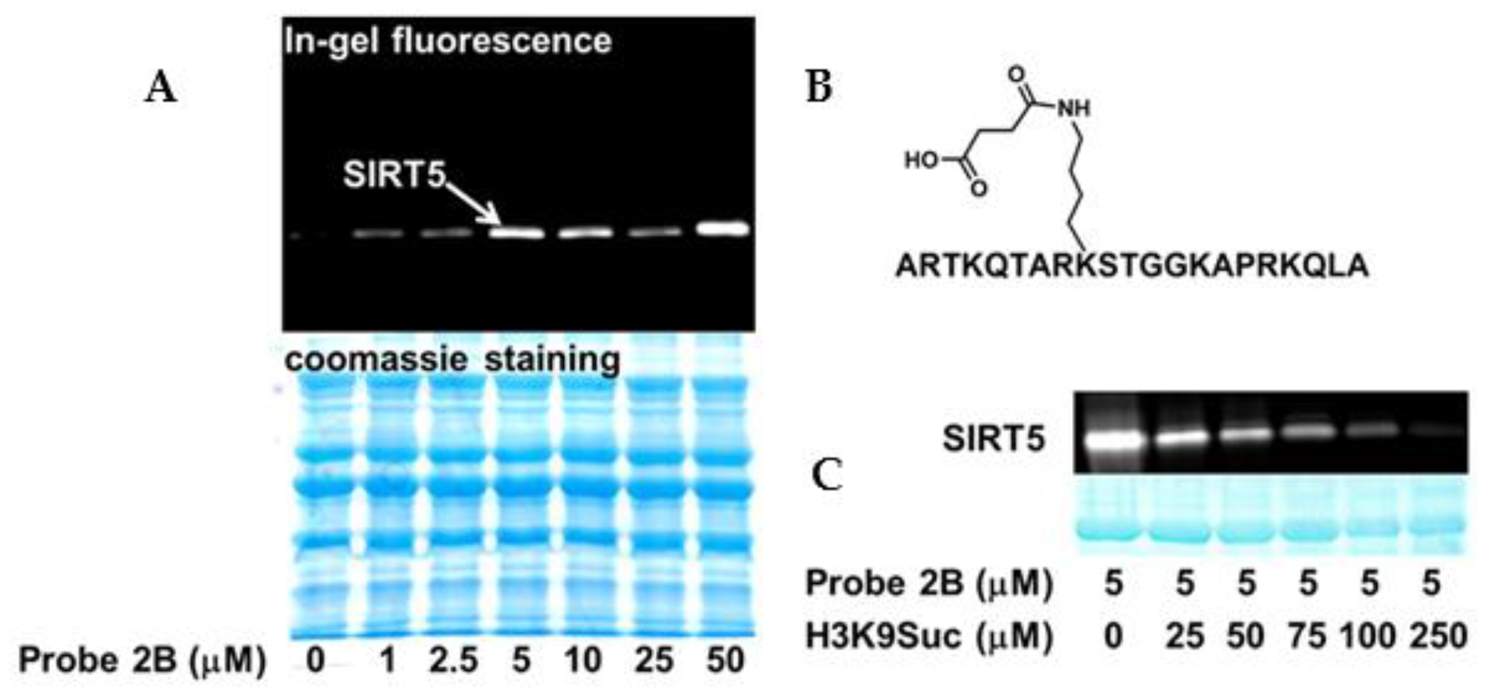 Molecules 26 00011 g004