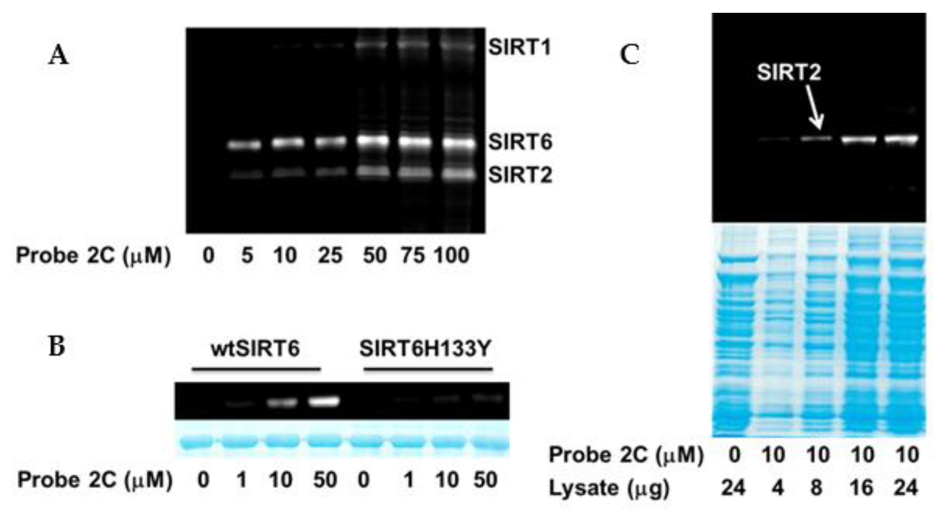 Molecules 26 00011 g005