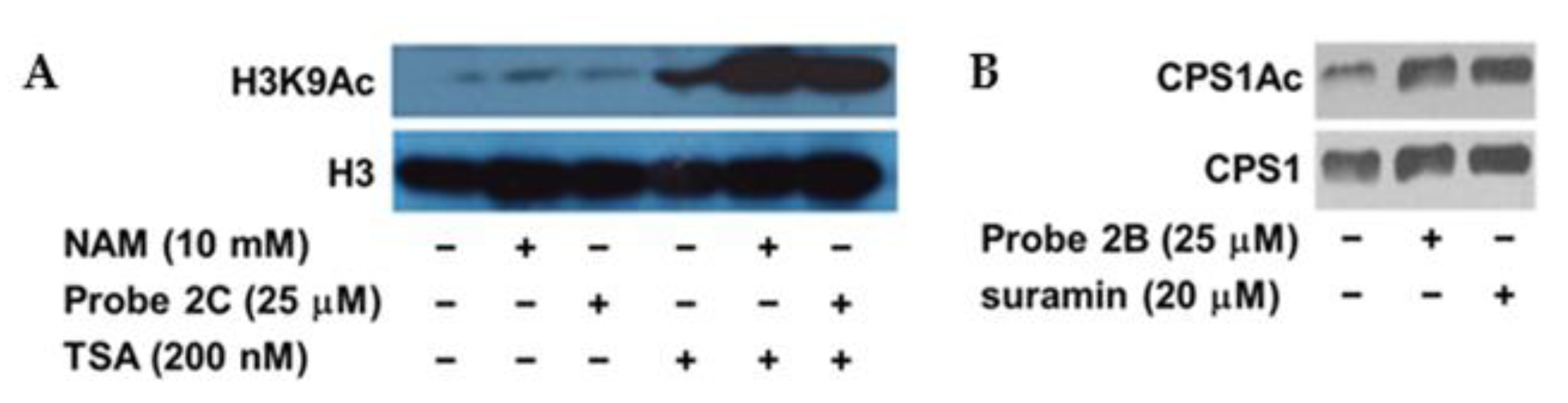 Molecules 26 00011 g006