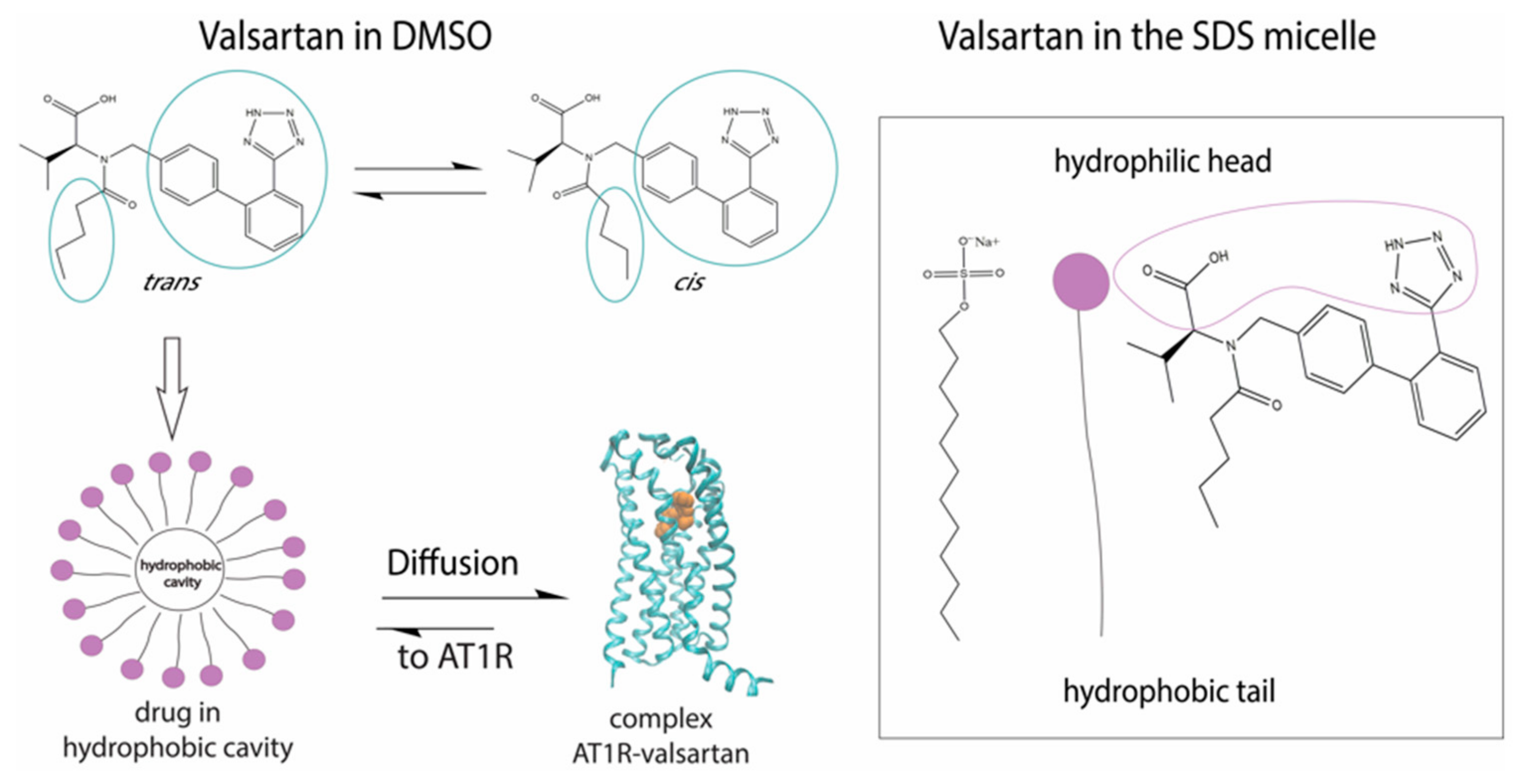 Molecules 26 00012 g002