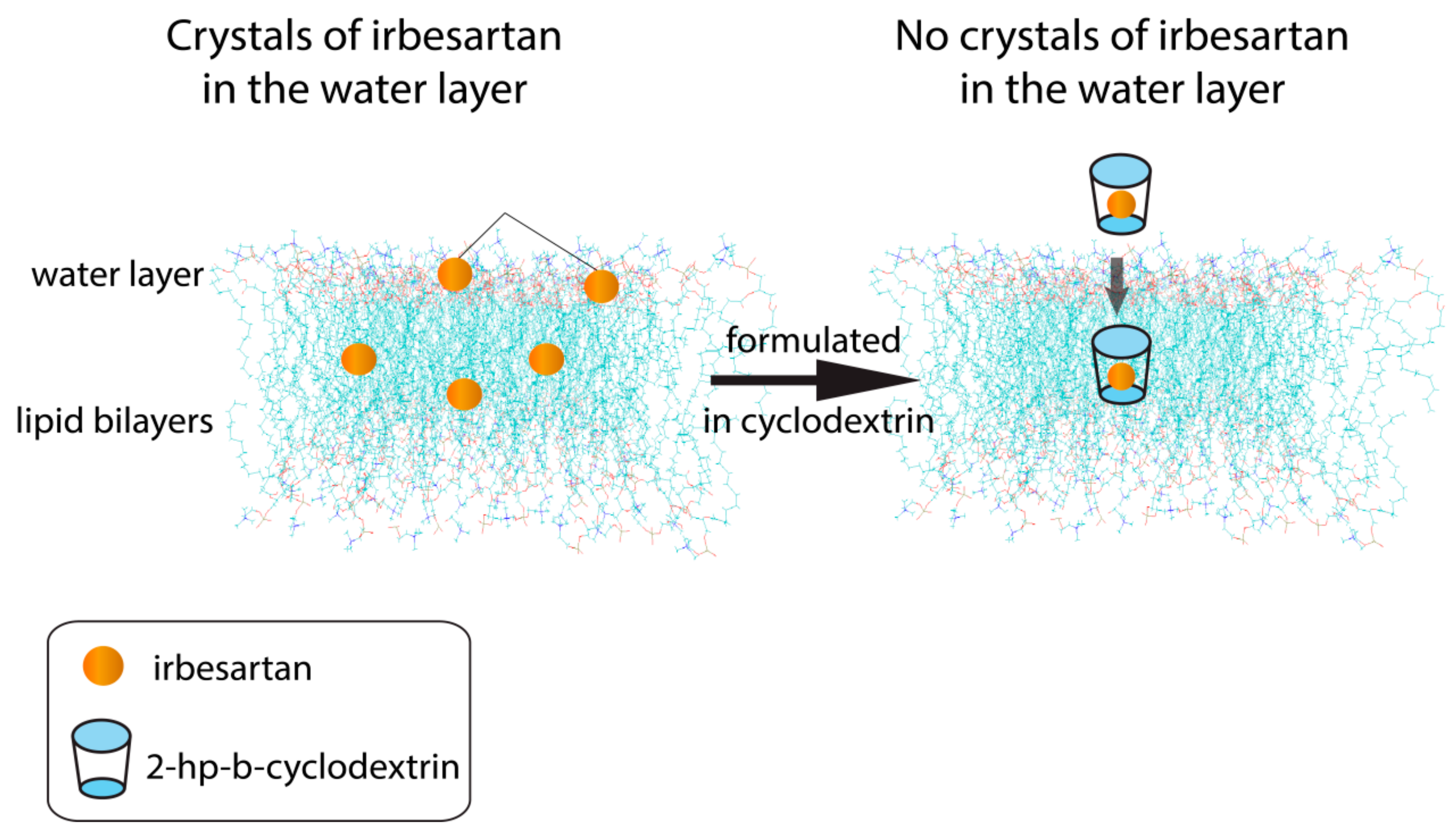 Molecules 26 00012 g007