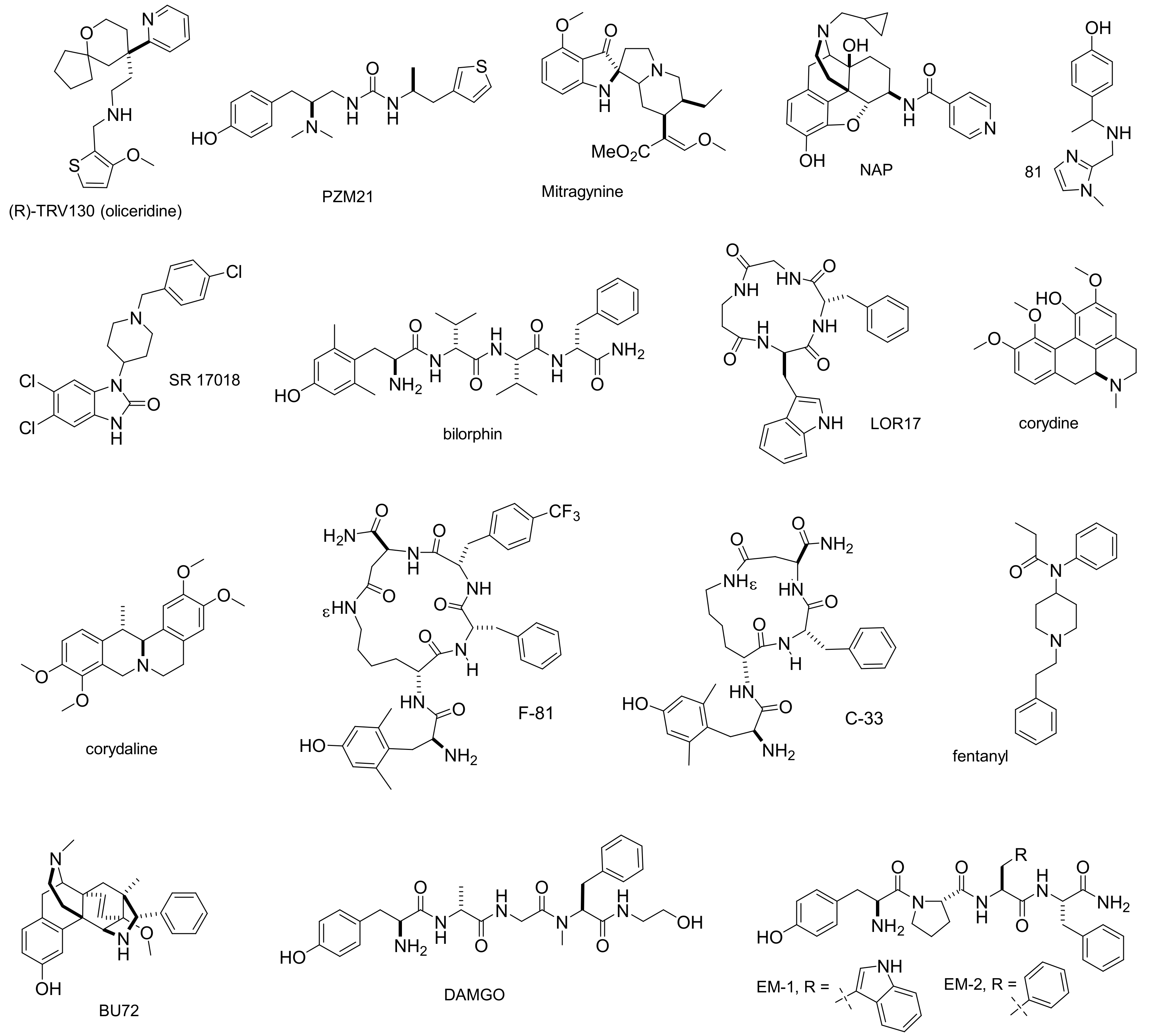 Molecules 26 00013 g001