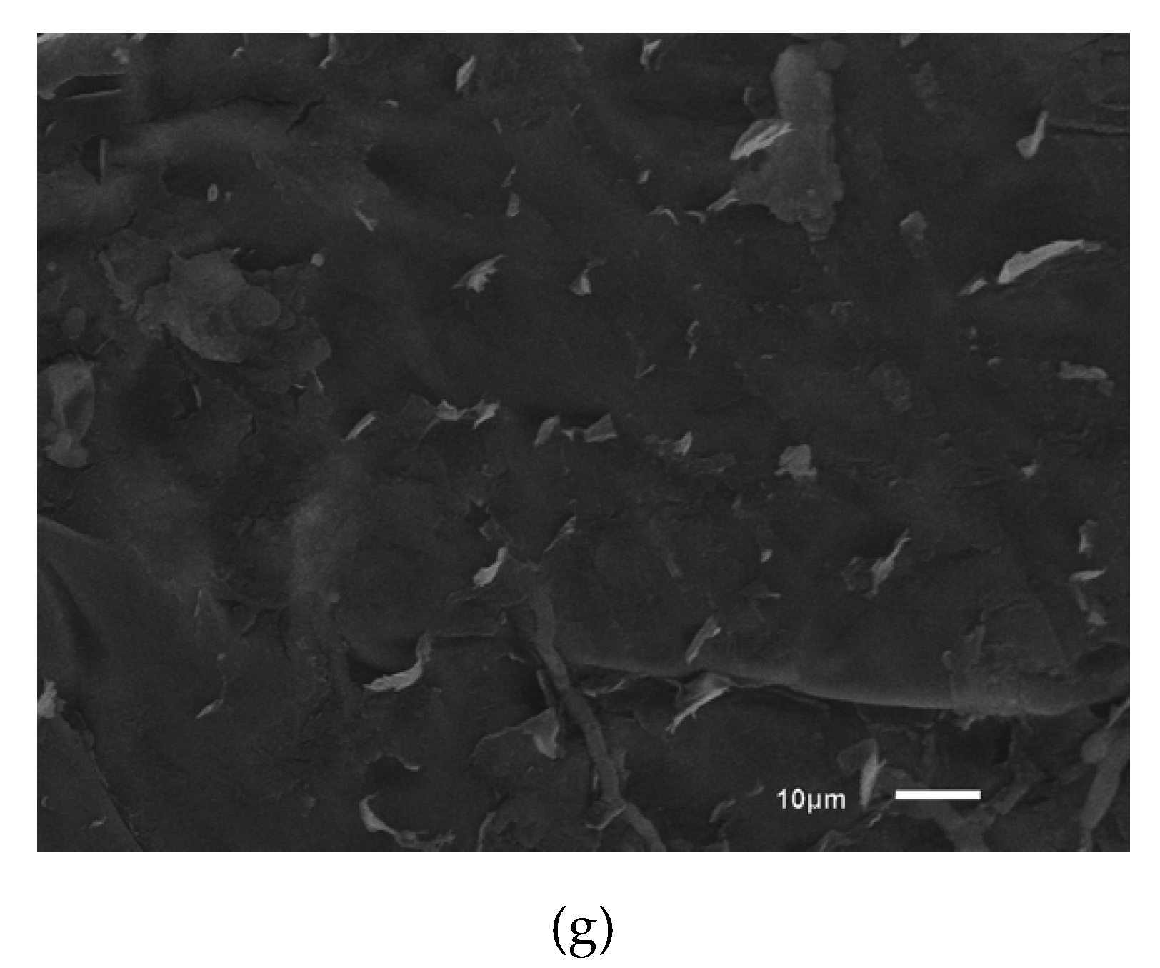 Molecules 26 00016 g004b