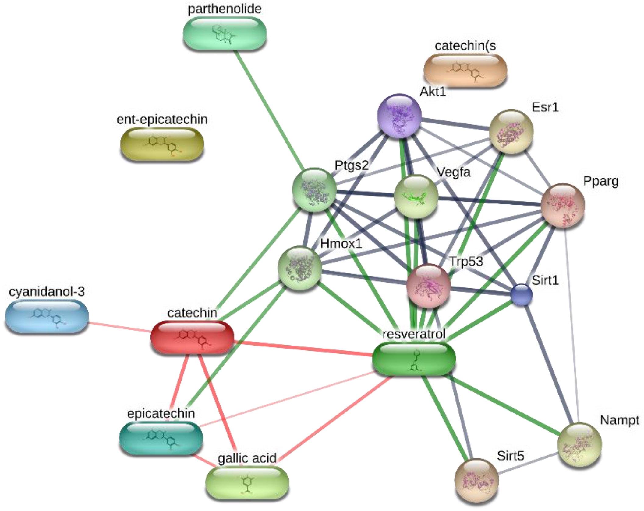 Molecules 26 00022 g002