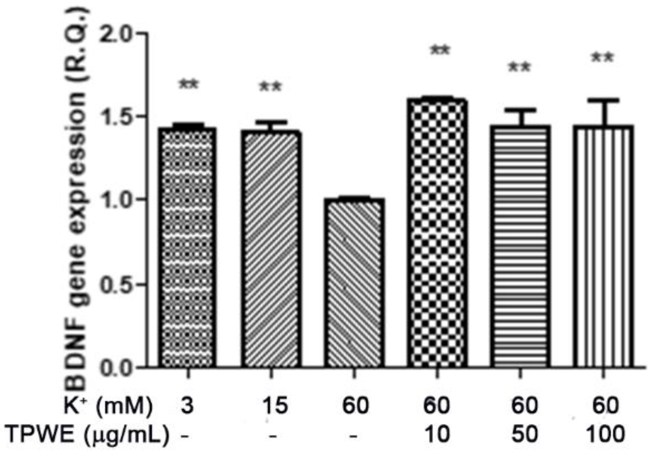 Molecules 26 00022 g006