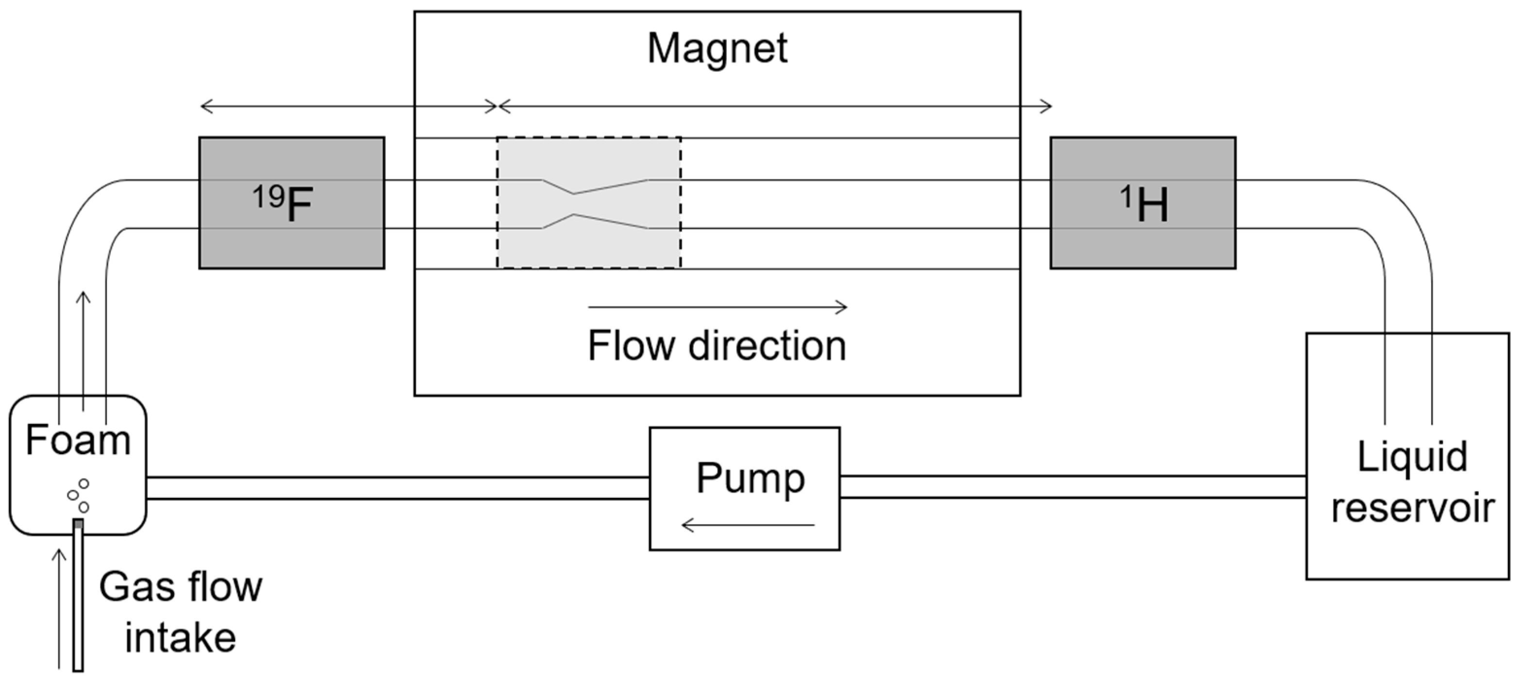 Molecules 26 00028 g003