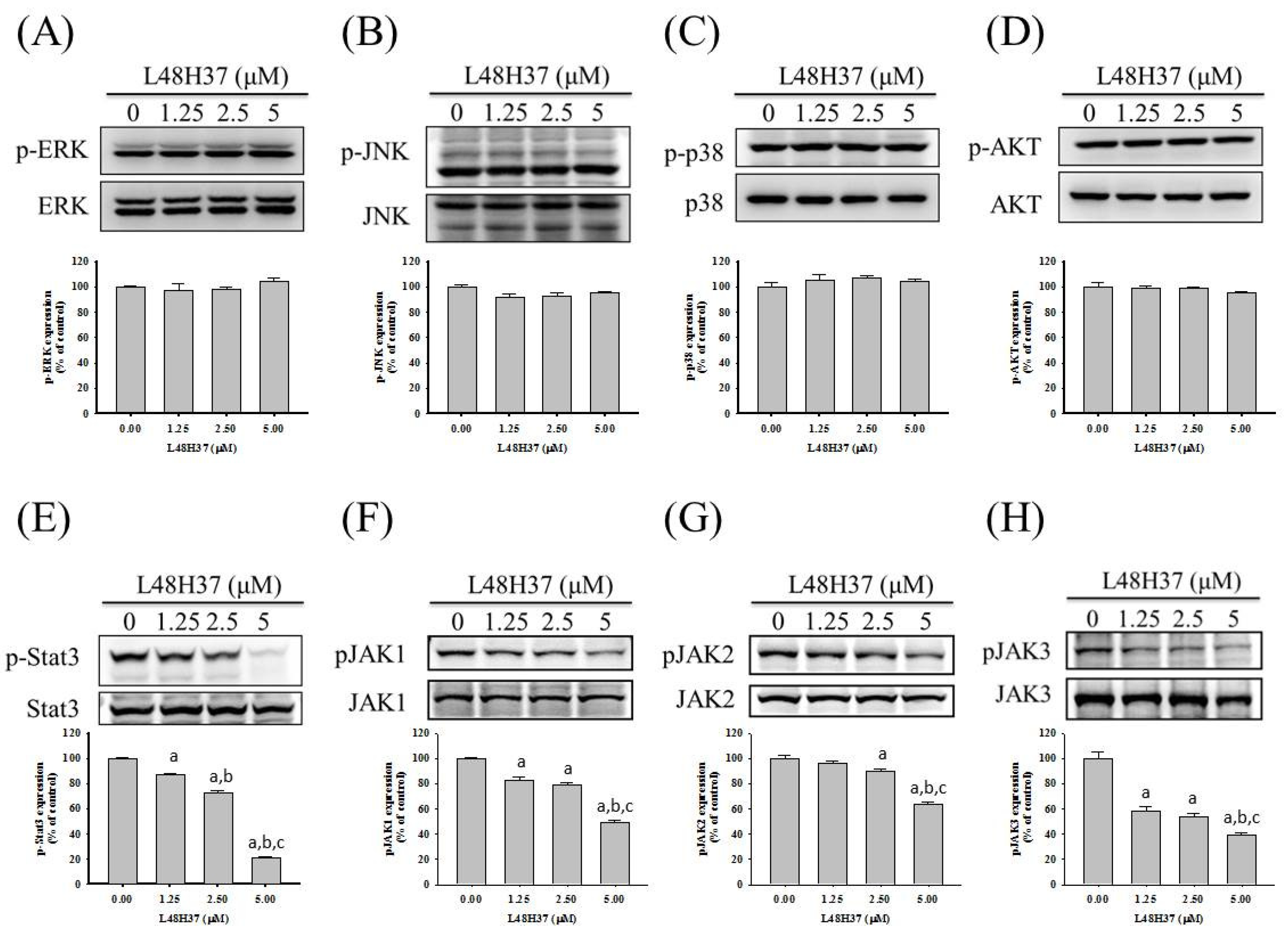 Molecules 26 00030 g004