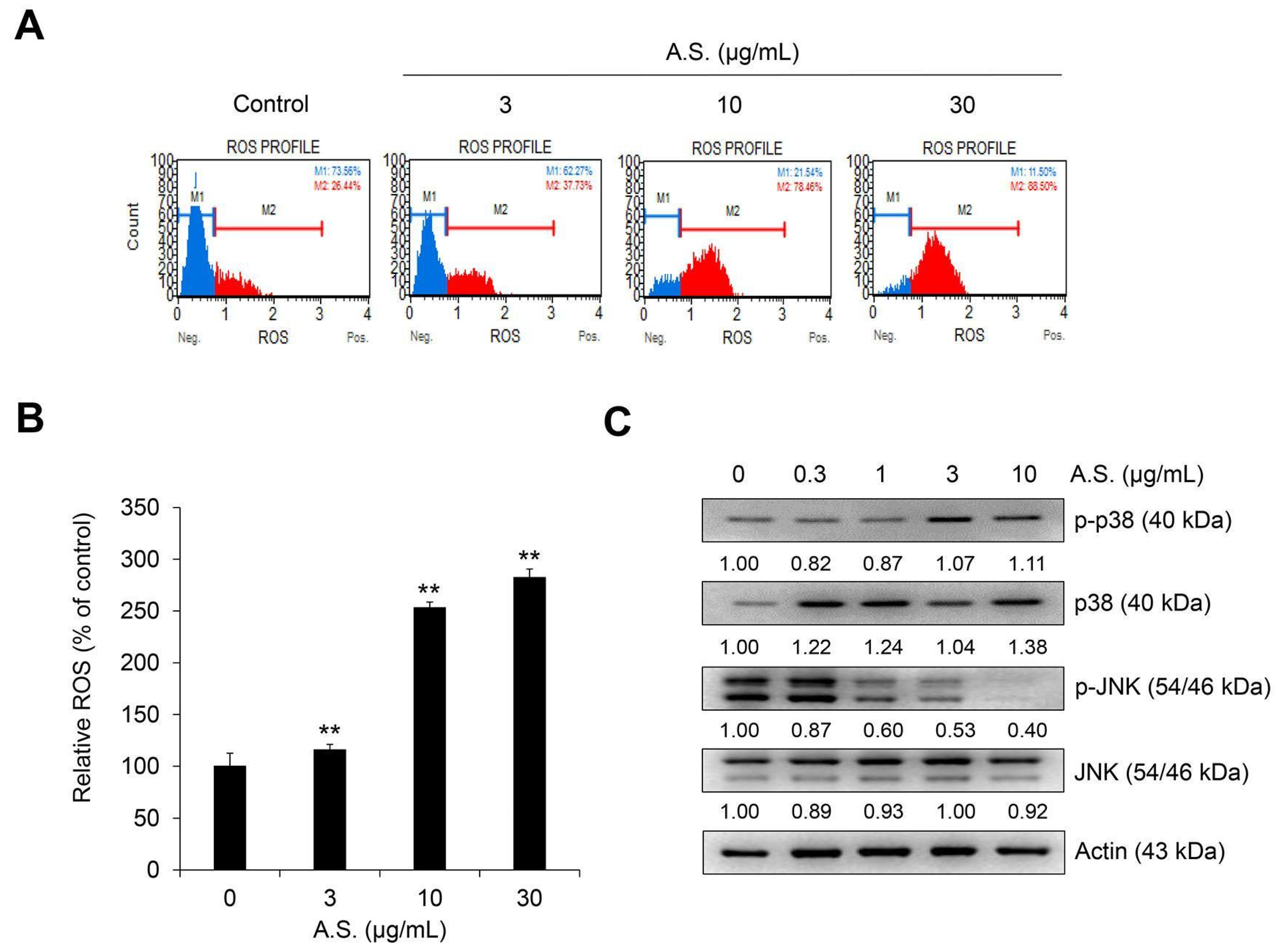 Molecules 26 00035 g003