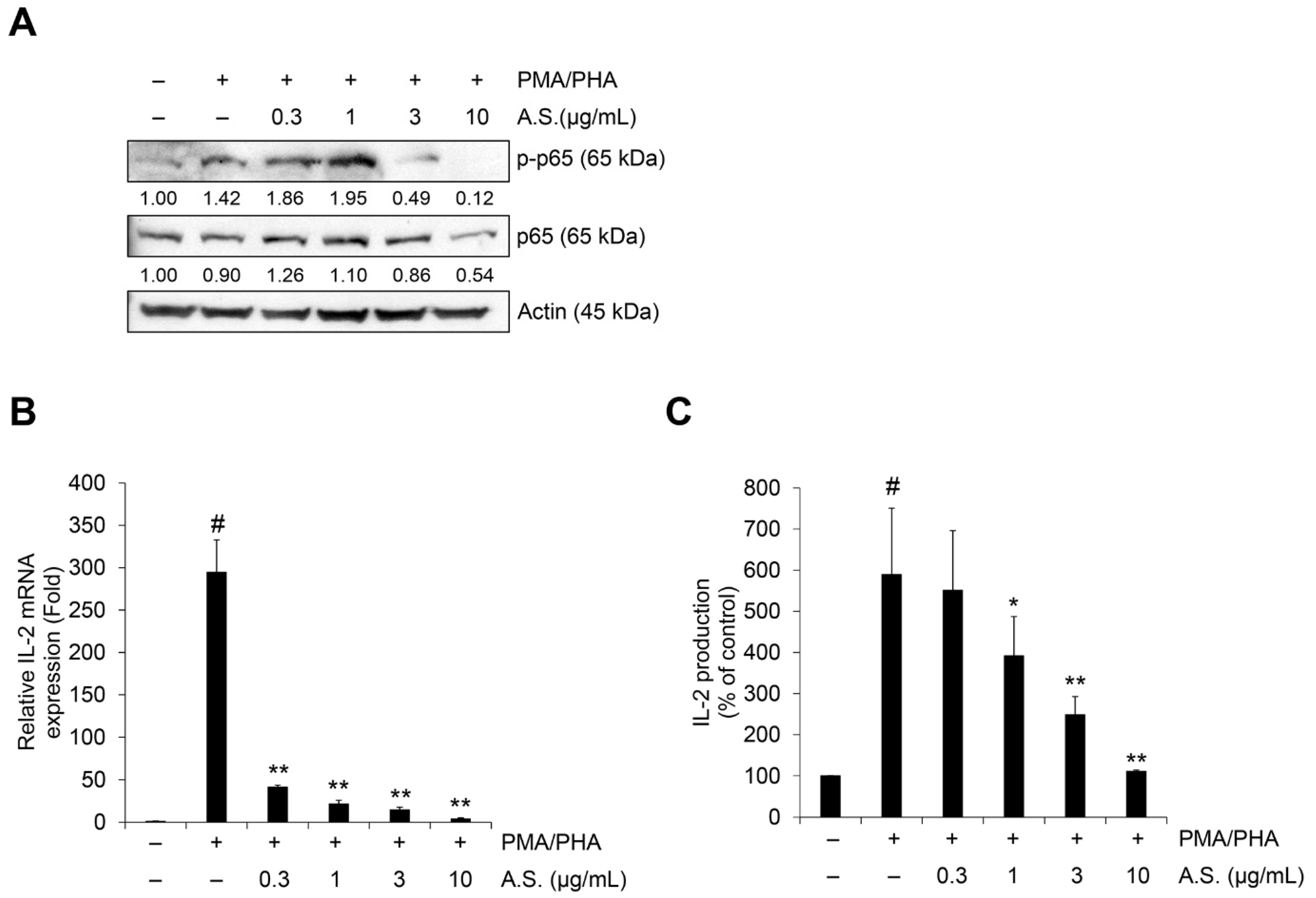 Molecules 26 00035 g004