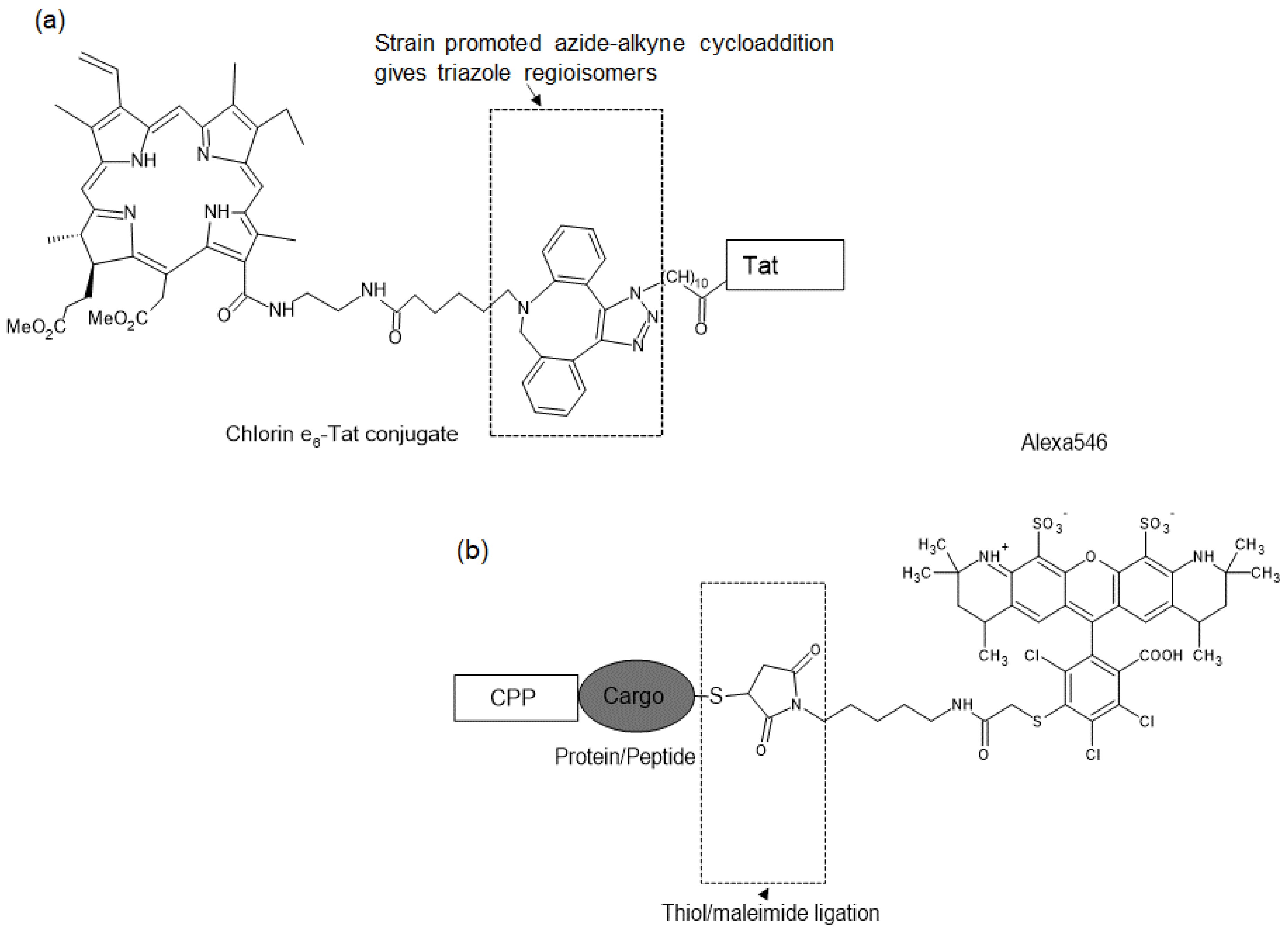 Molecules 26 00036 g003