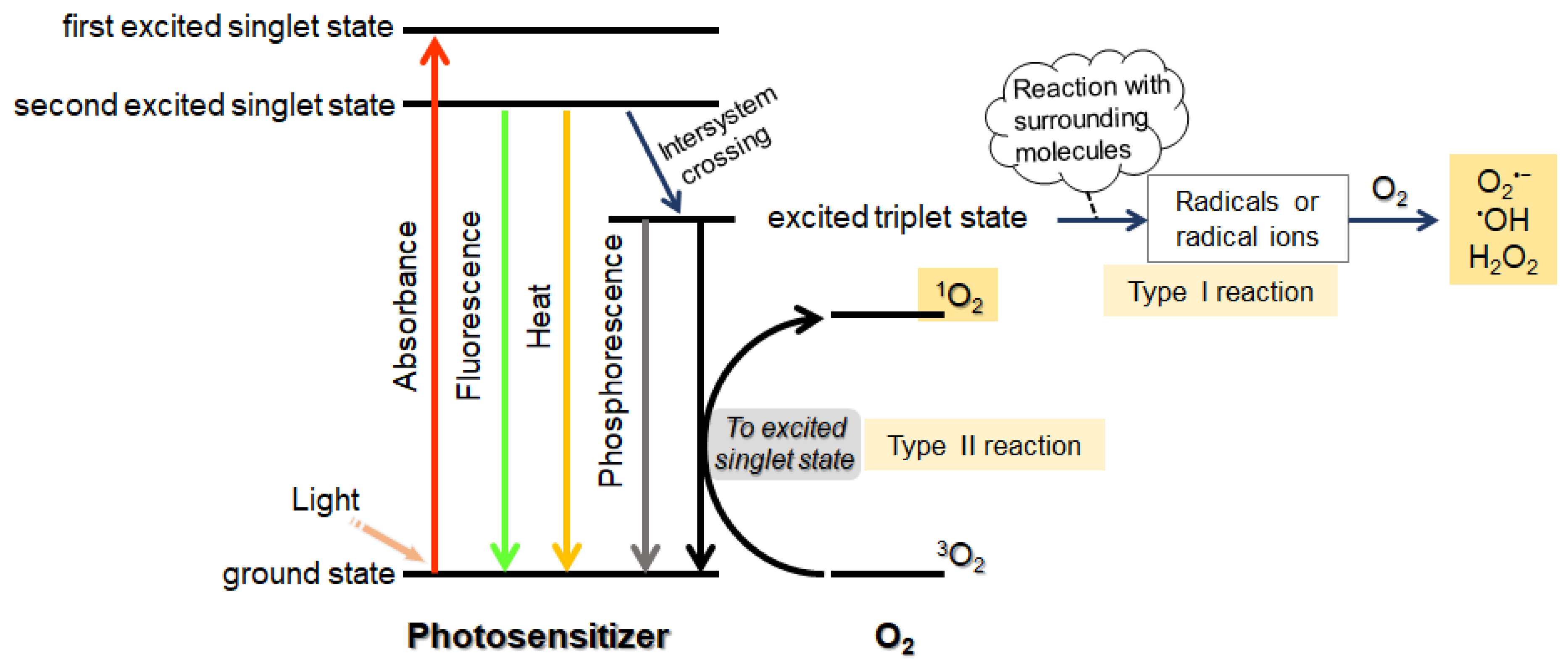 Molecules 26 00036 g004