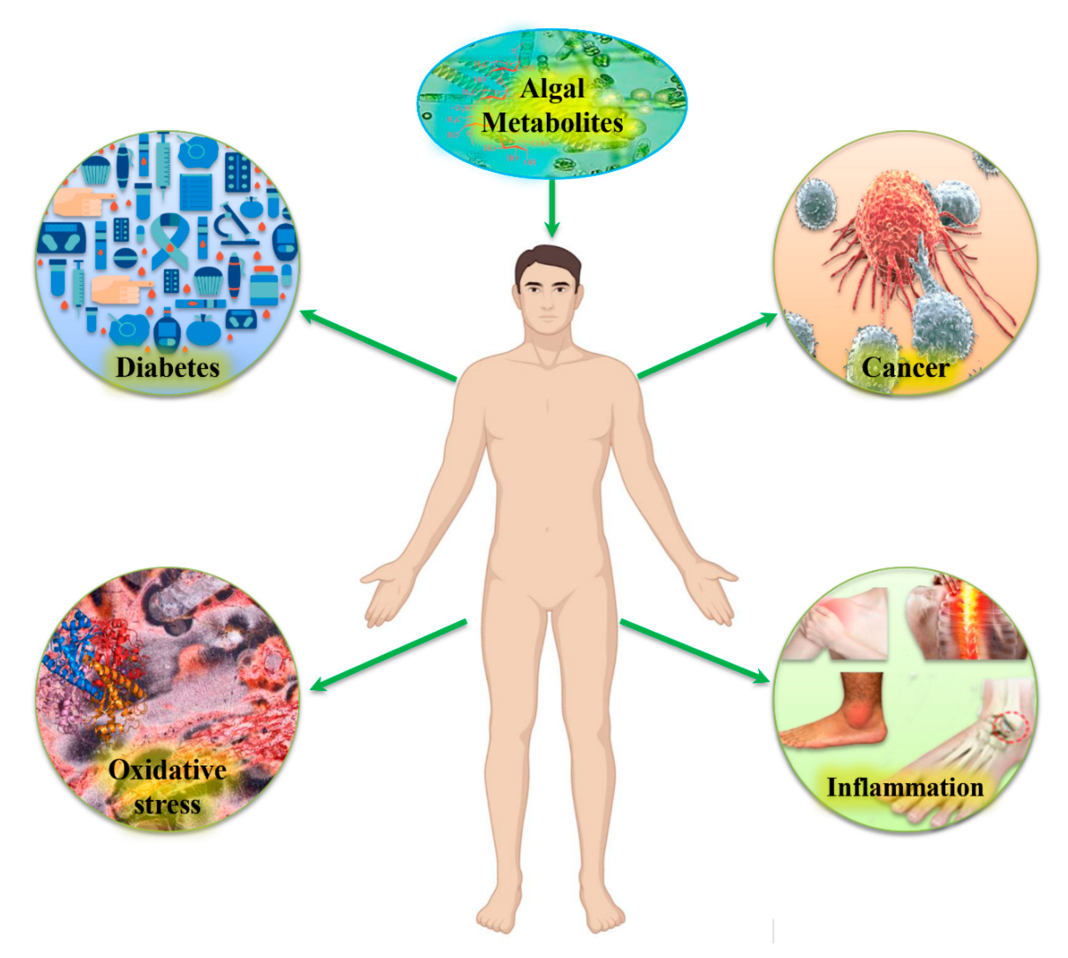 Molecules 26 00037 g001