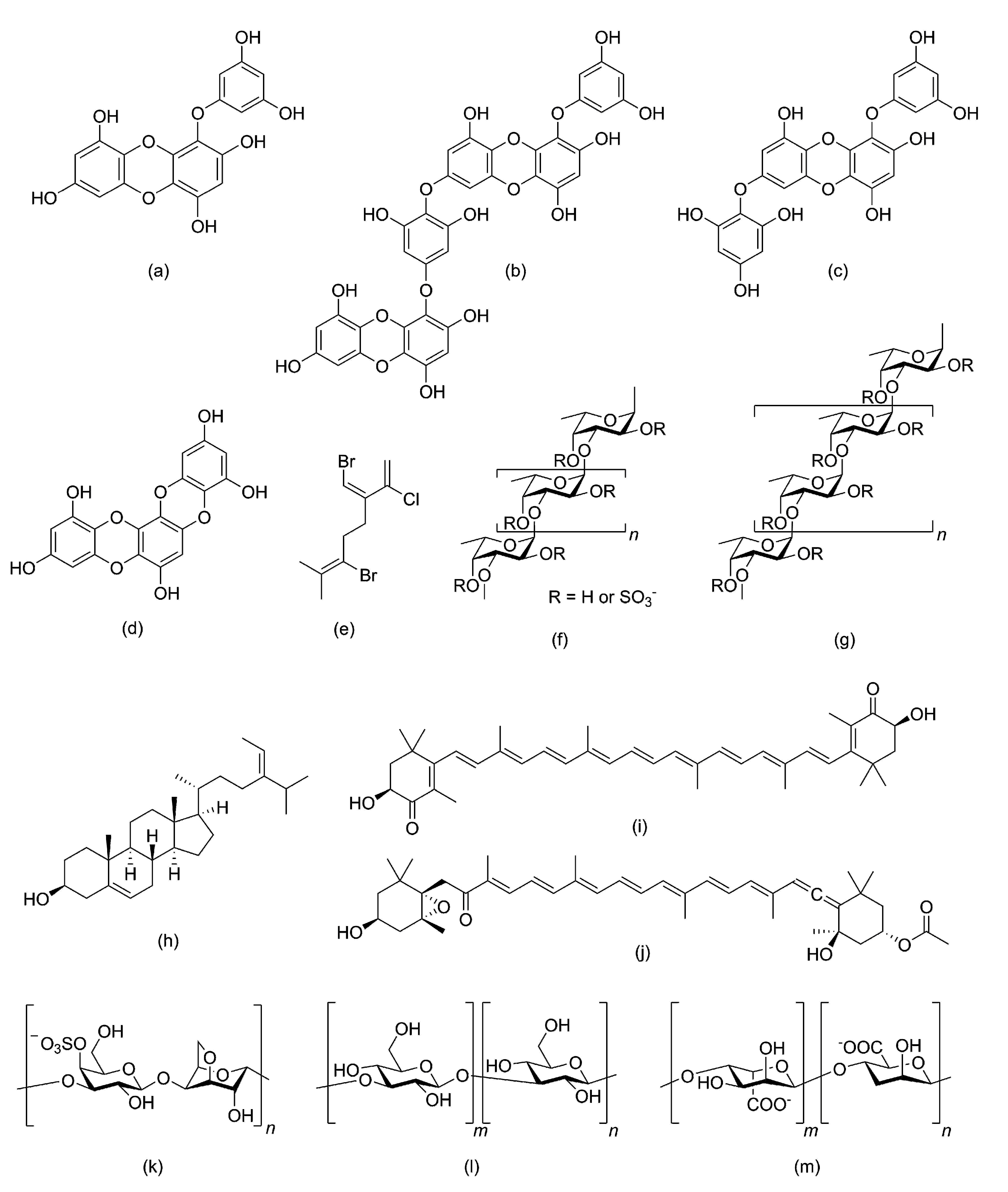 Molecules 26 00037 g002