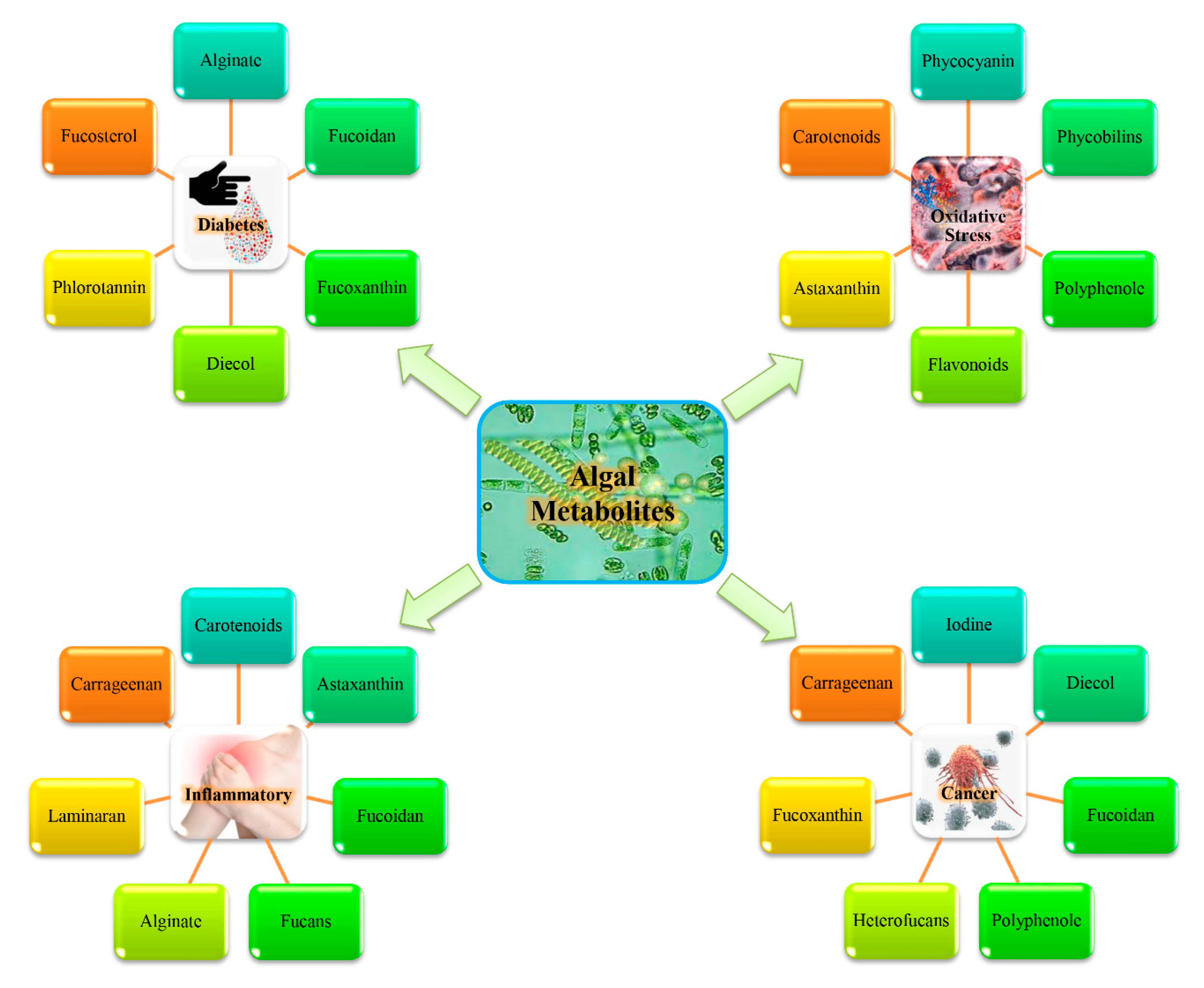 Molecules 26 00037 g003