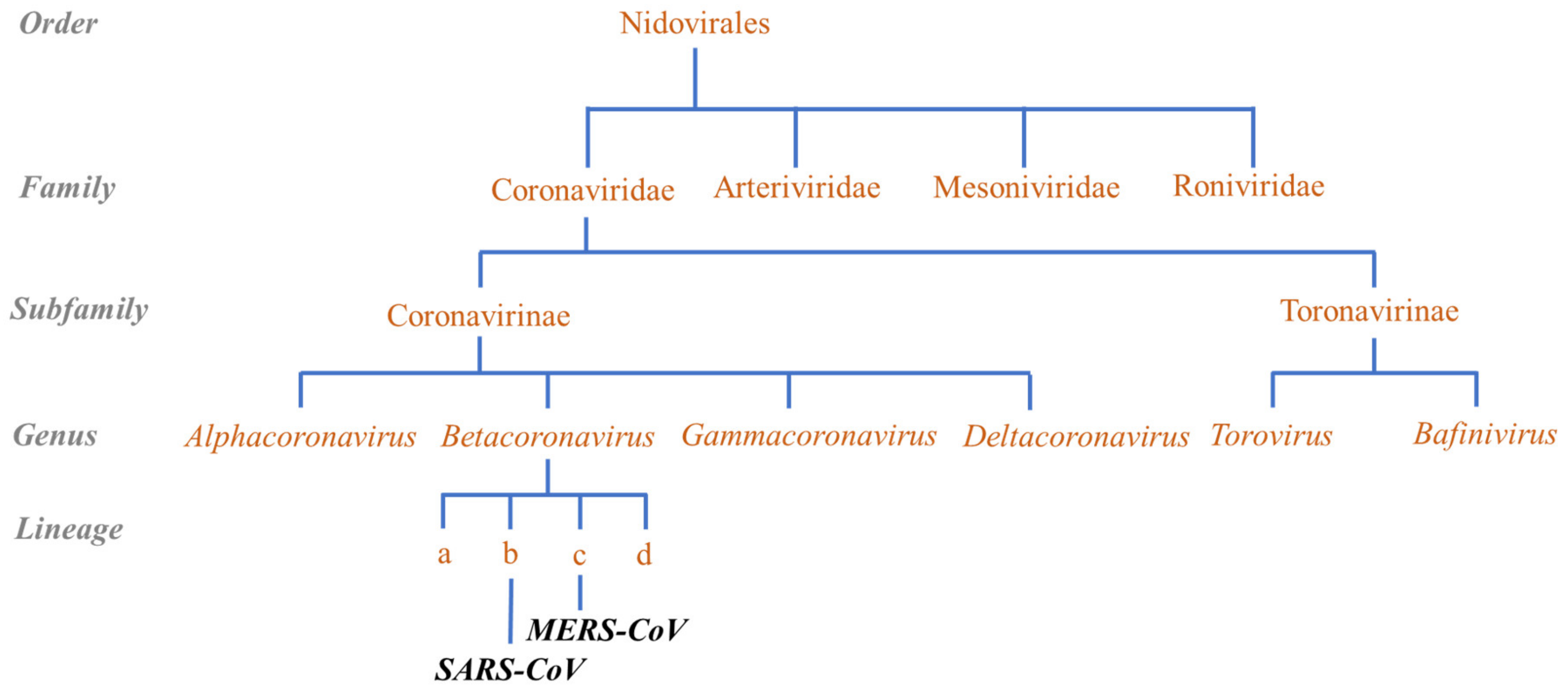 Molecules 26 00039 g003