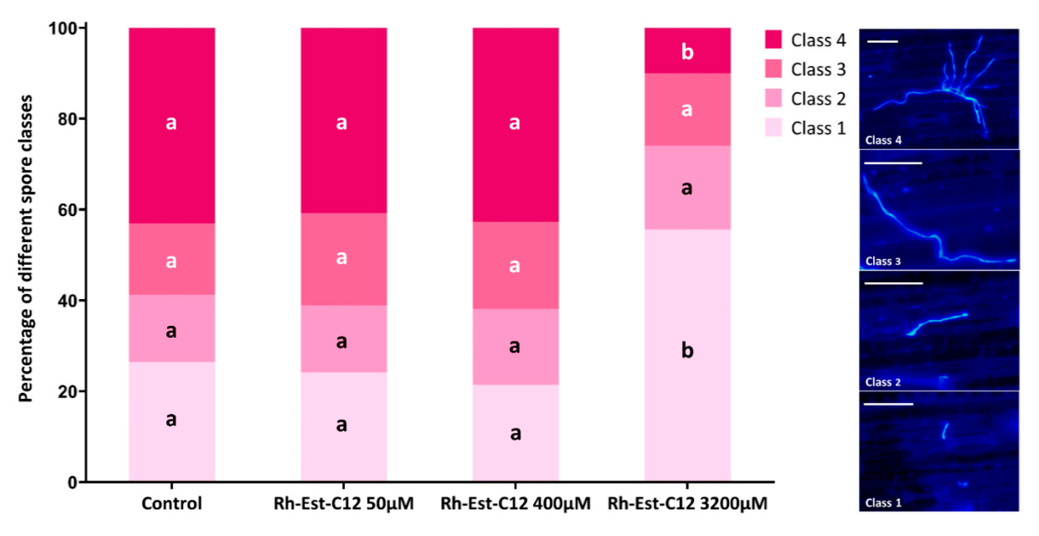 Molecules 26 00040 g003