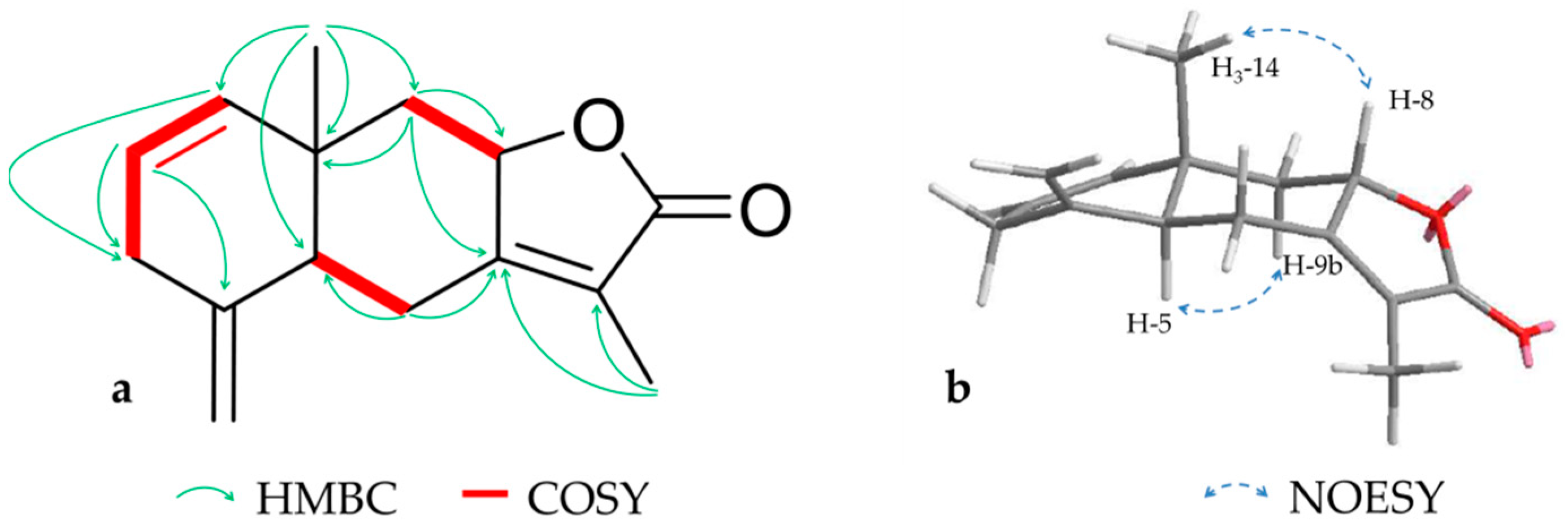 Molecules 26 00042 g006