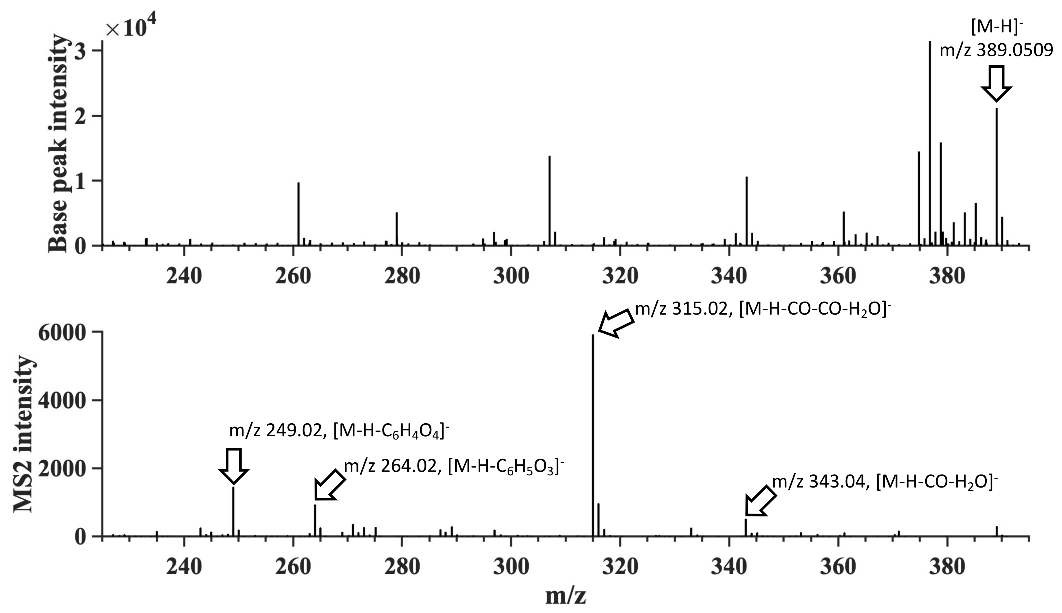 Molecules 26 00043 g005