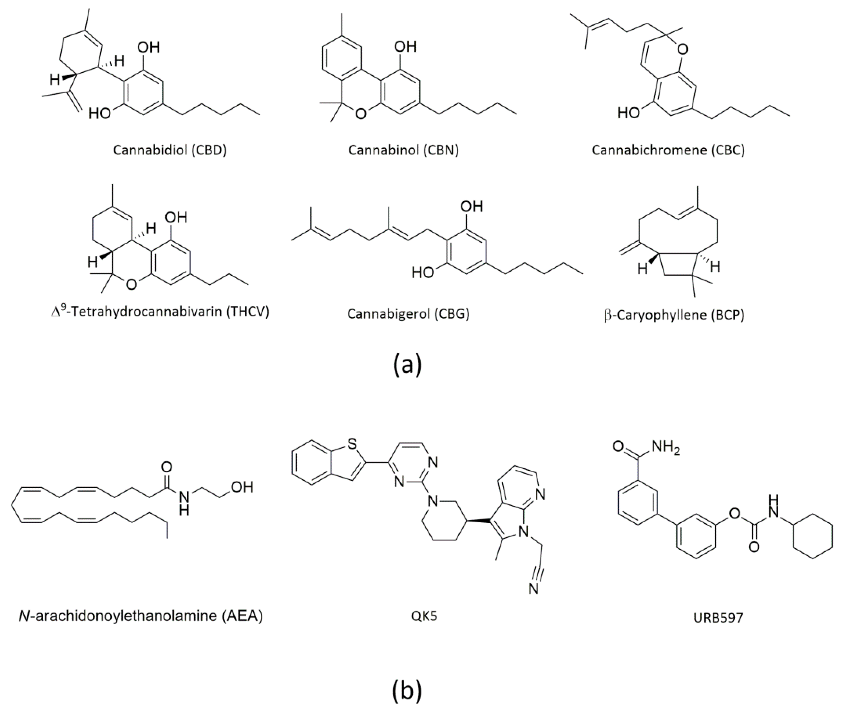 Molecules 26 00048 g001