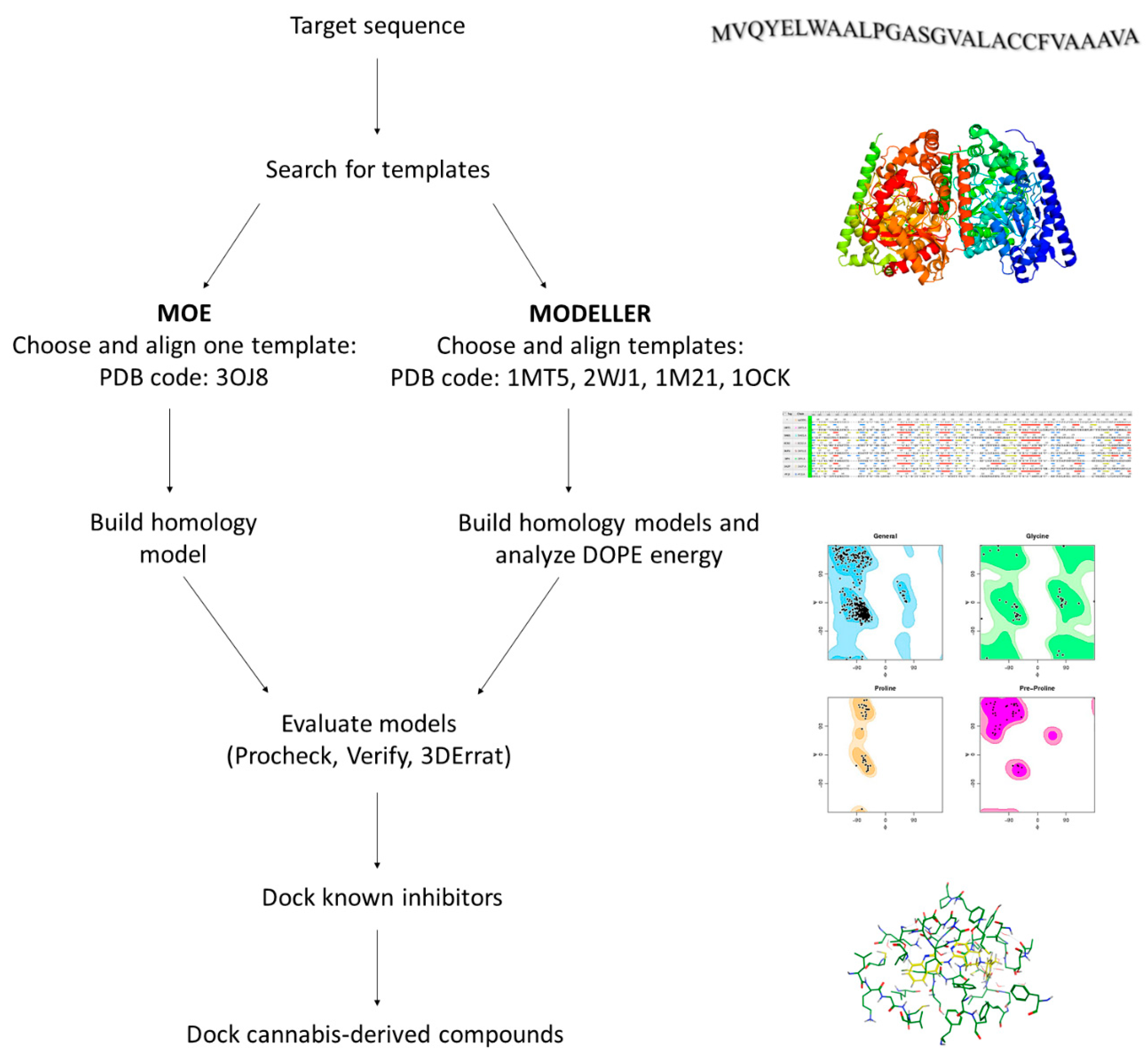 Molecules 26 00048 g003