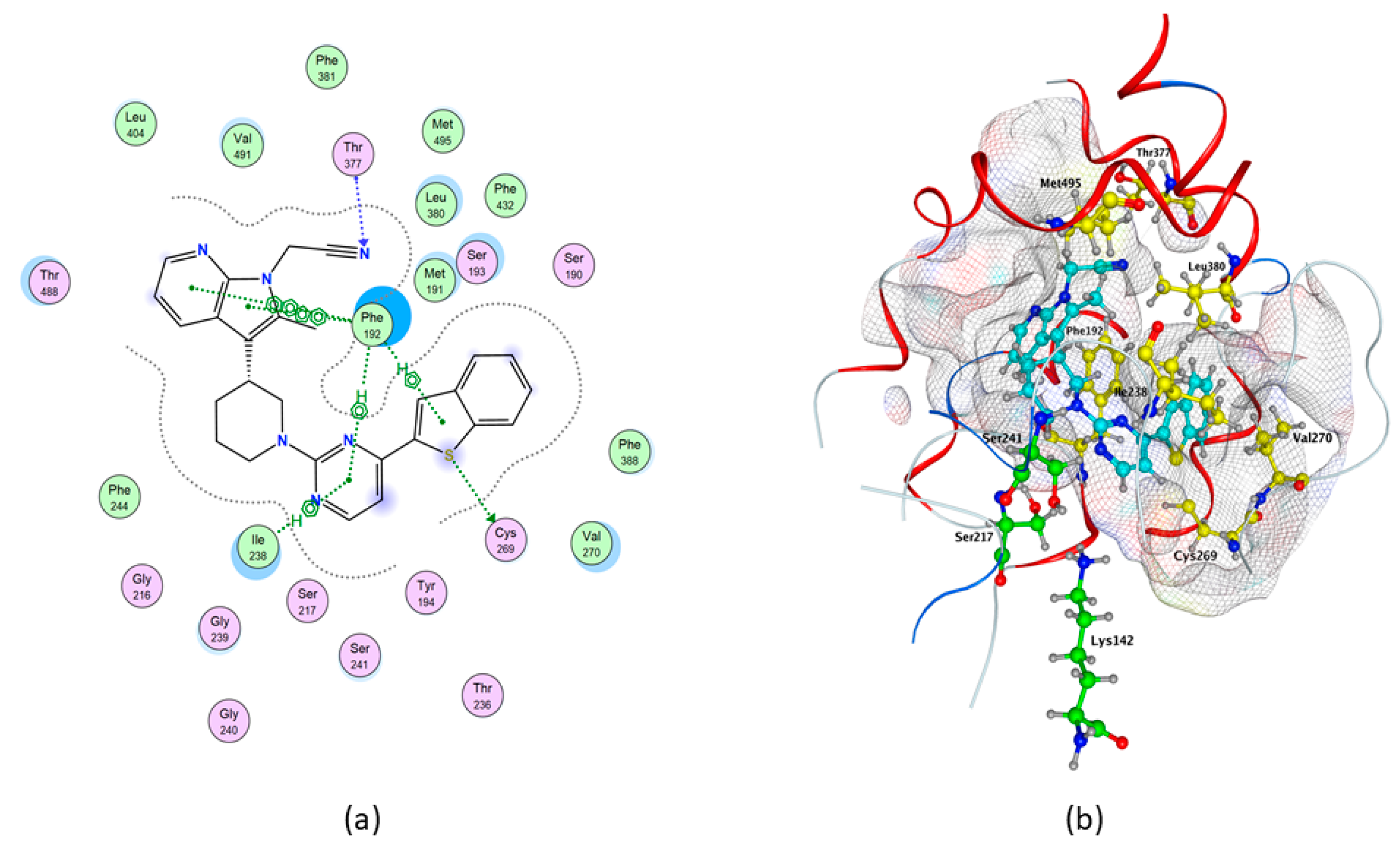Molecules 26 00048 g005
