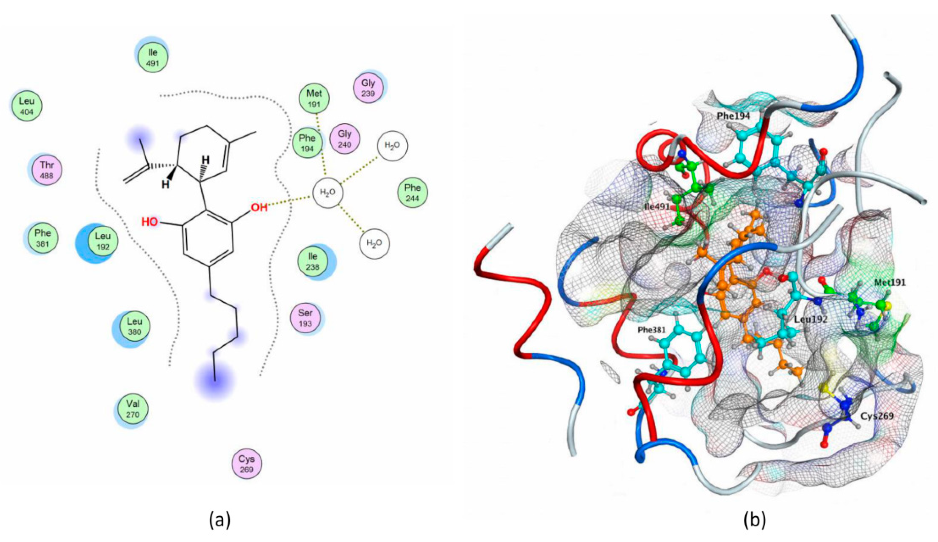 Molecules 26 00048 g006